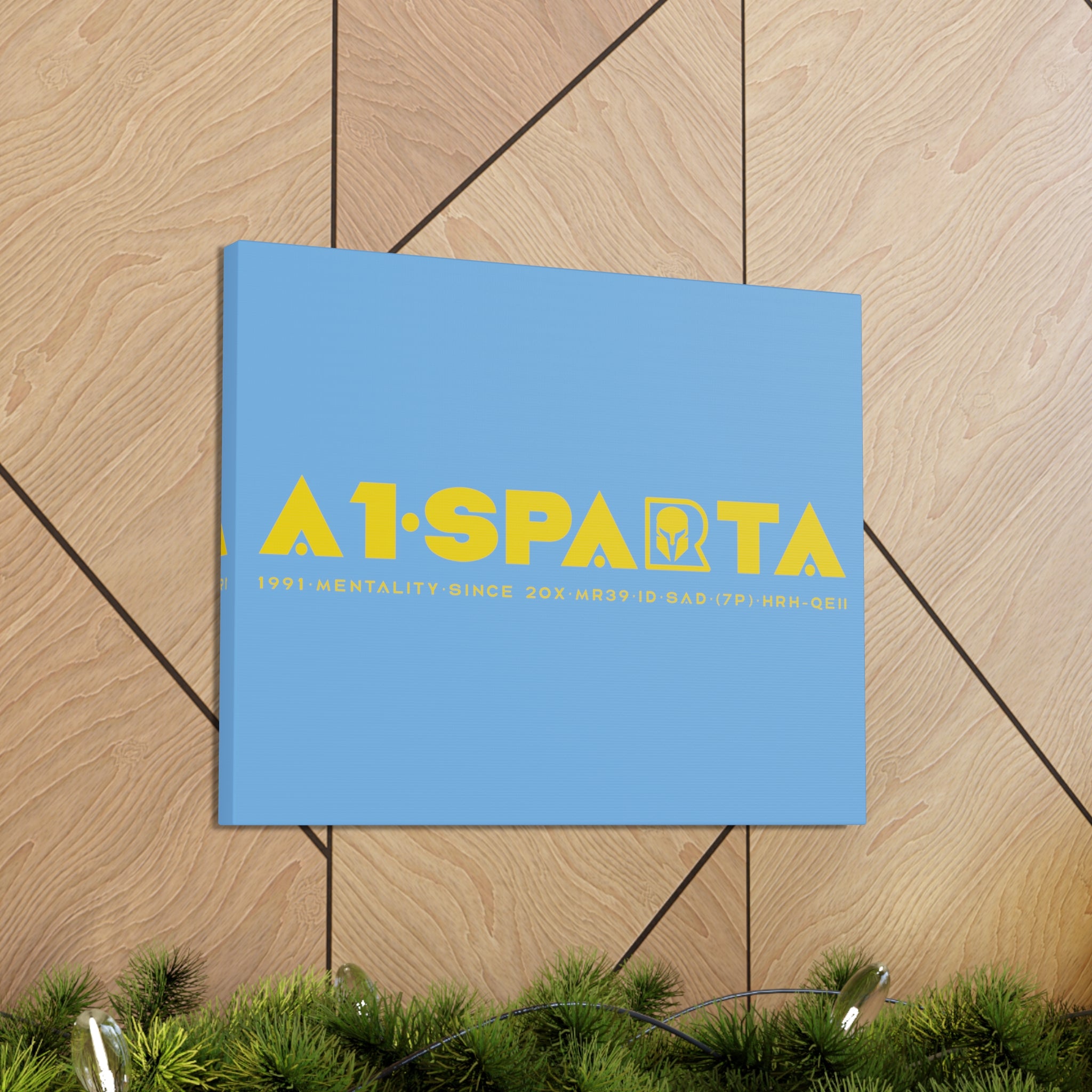 Canvas Gallery Wraps (A1•SPARTA RANGE)