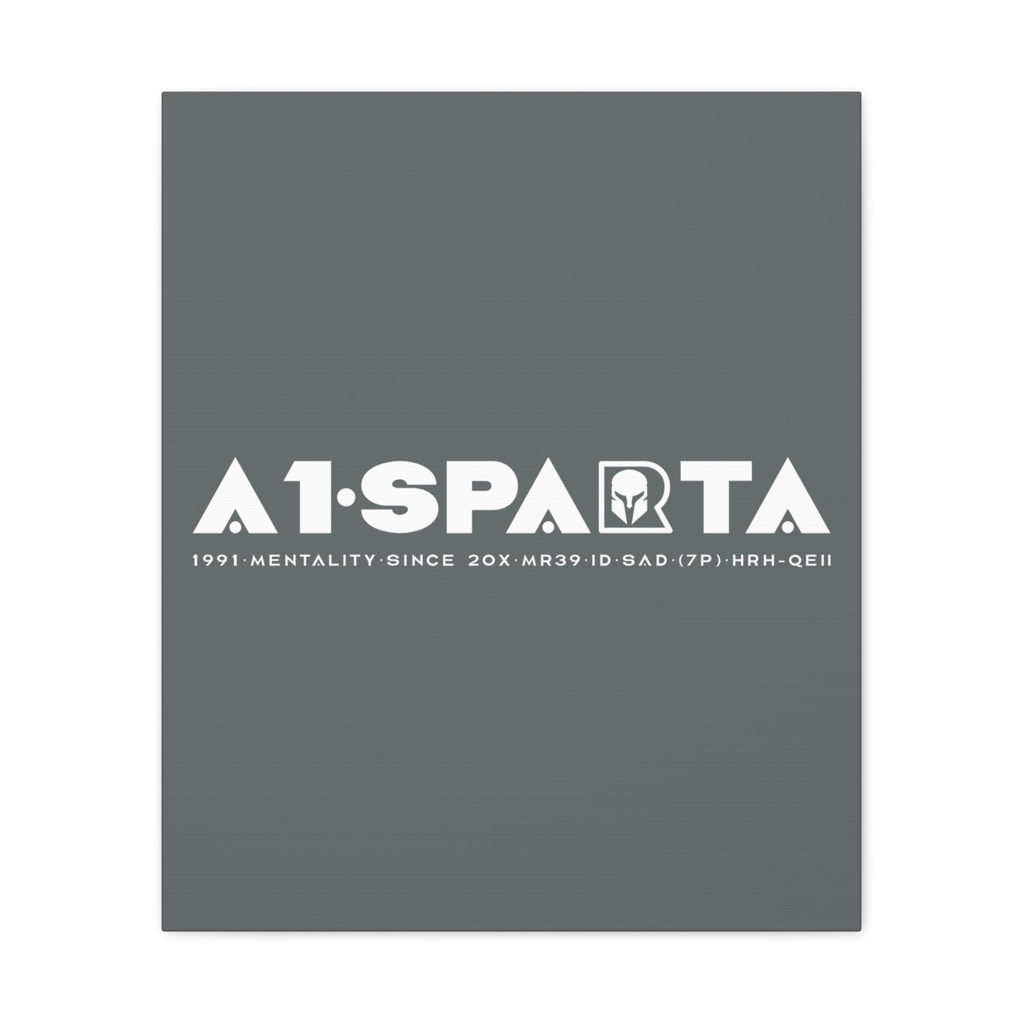 Canvas Gallery Wraps (A1•SPARTA RANGE)