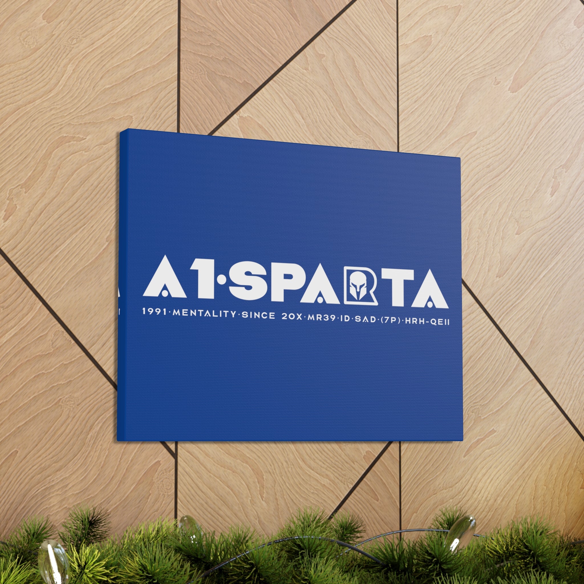 Canvas Gallery Wraps (A1•SPARTA RANGE)