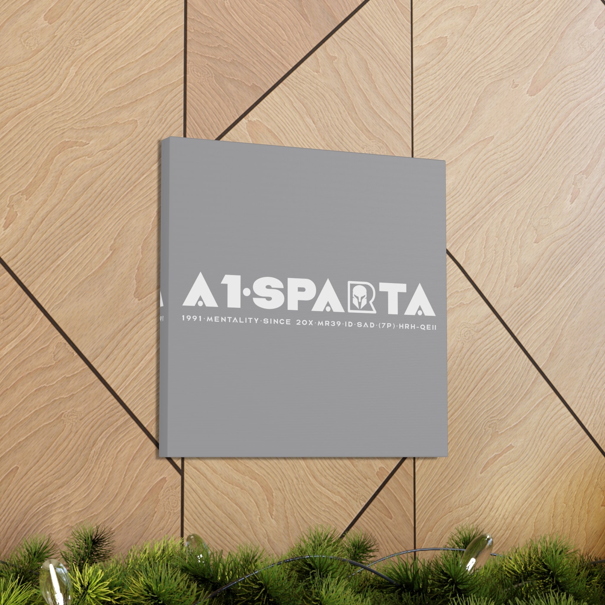 Canvas Gallery Wraps (A1•SPARTA RANGE)