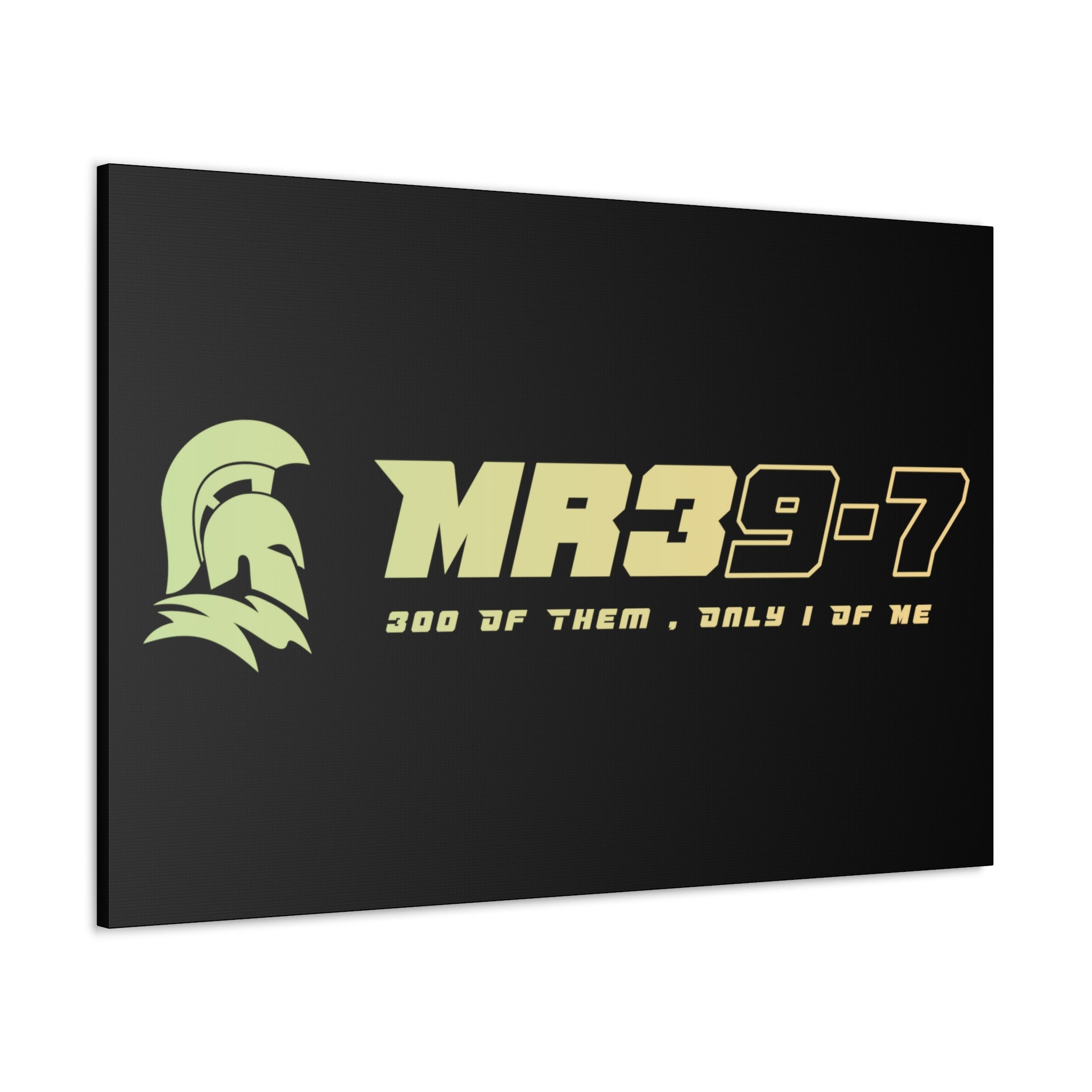 Canvas Gallery Wraps (A1•SPARTA RANGE)