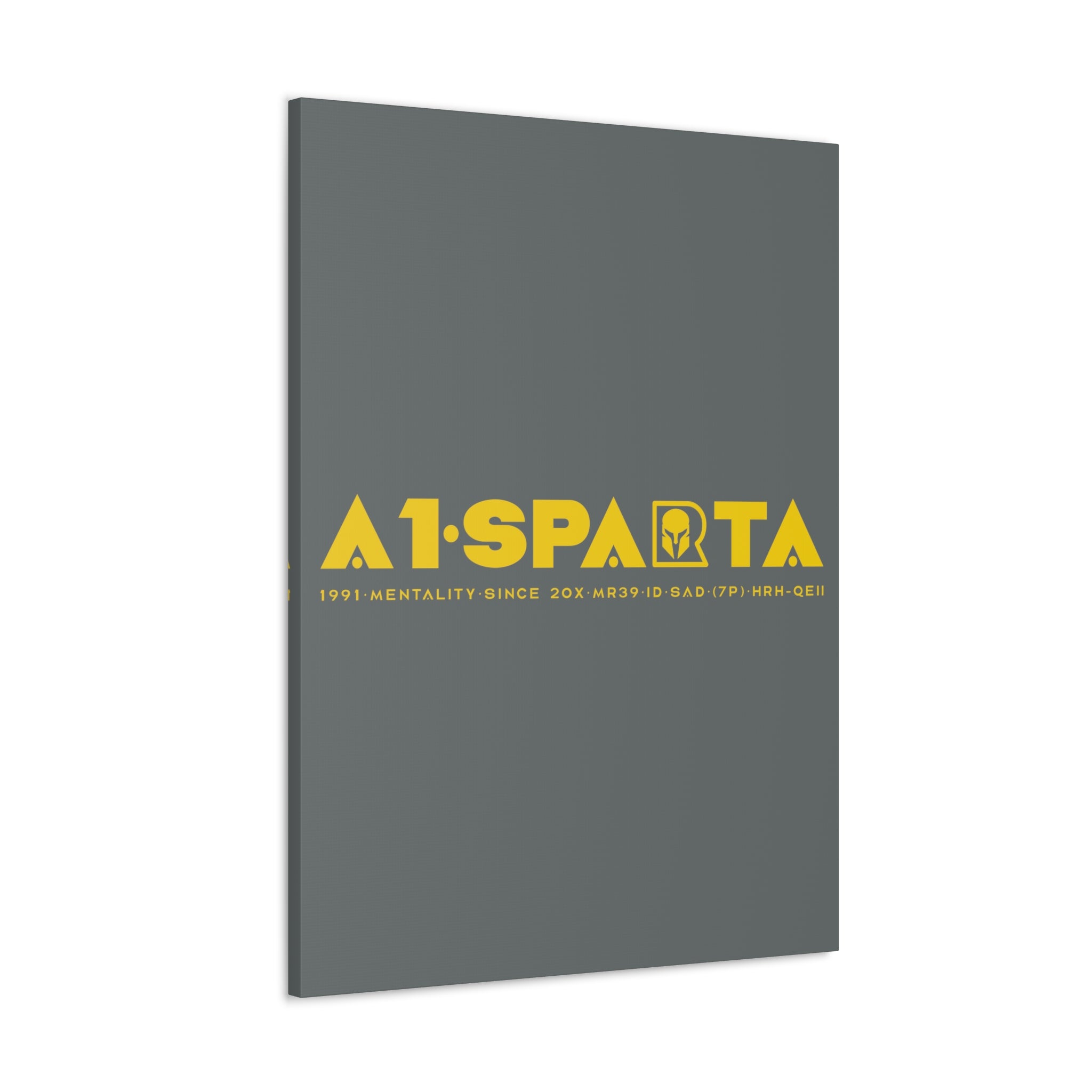 Canvas Gallery Wraps (A1•SPARTA RANGE)