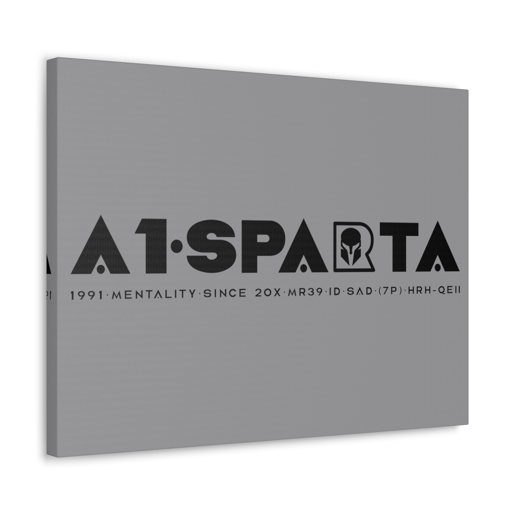 Canvas Gallery Wraps (A1•SPARTA RANGE)