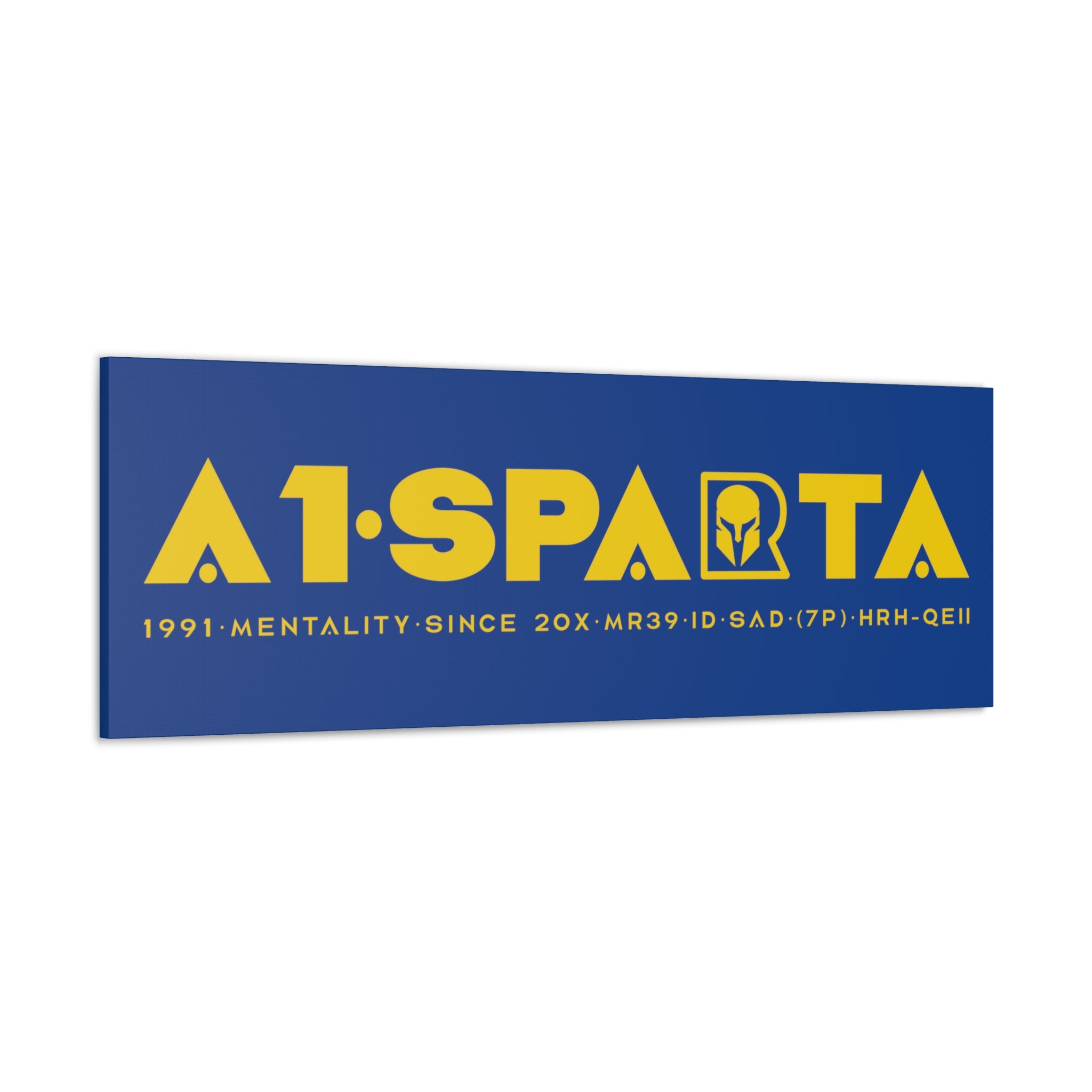 Canvas Gallery Wraps (A1•SPARTA RANGE)