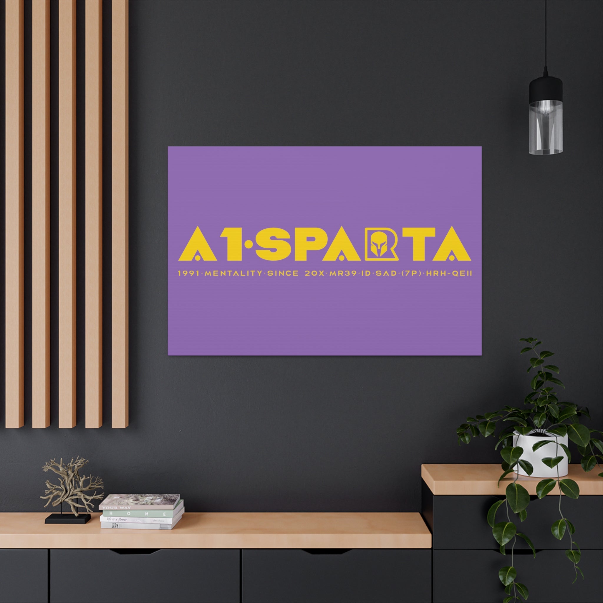 Canvas Gallery Wraps (A1•SPARTA RANGE)