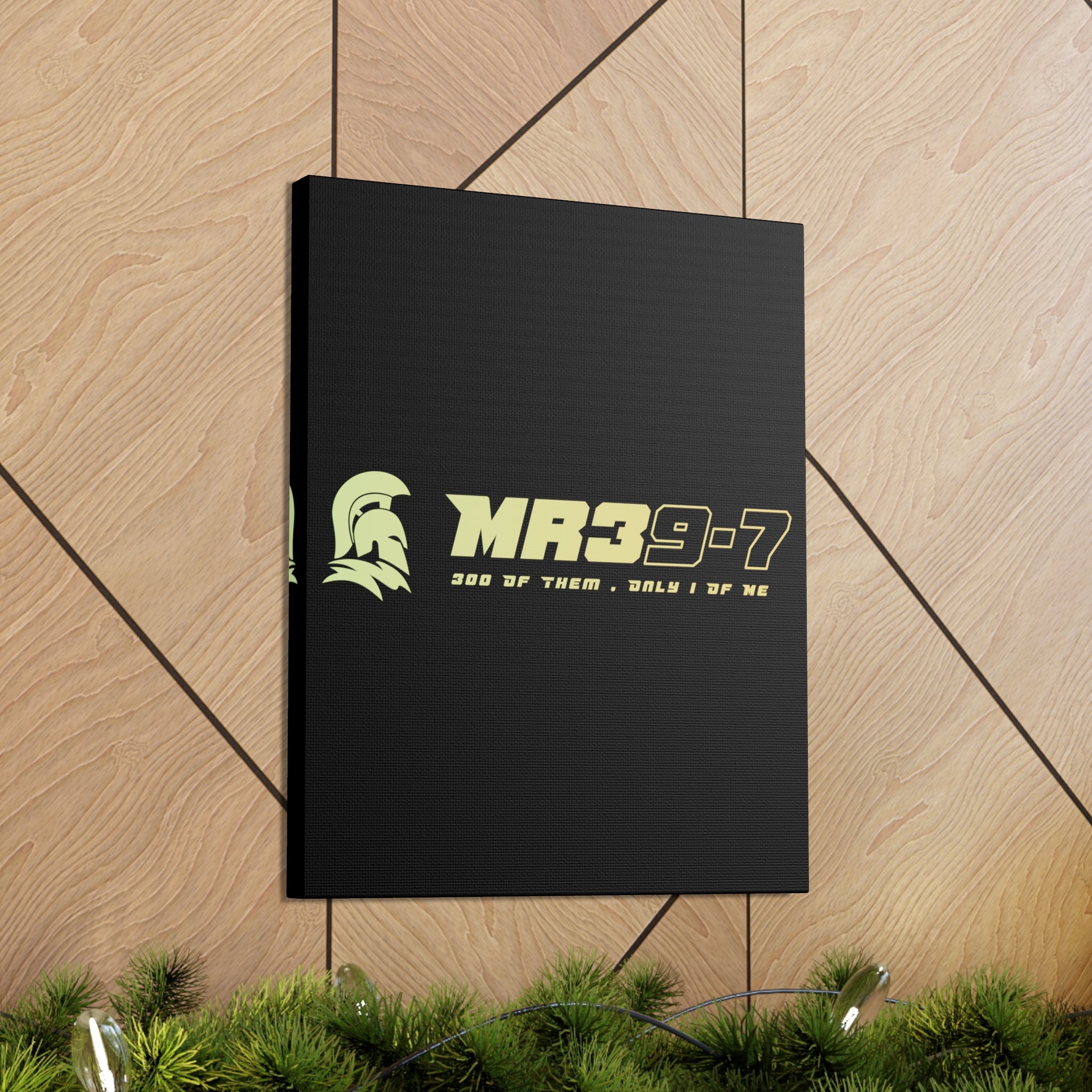 Canvas Gallery Wraps (A1•SPARTA RANGE)