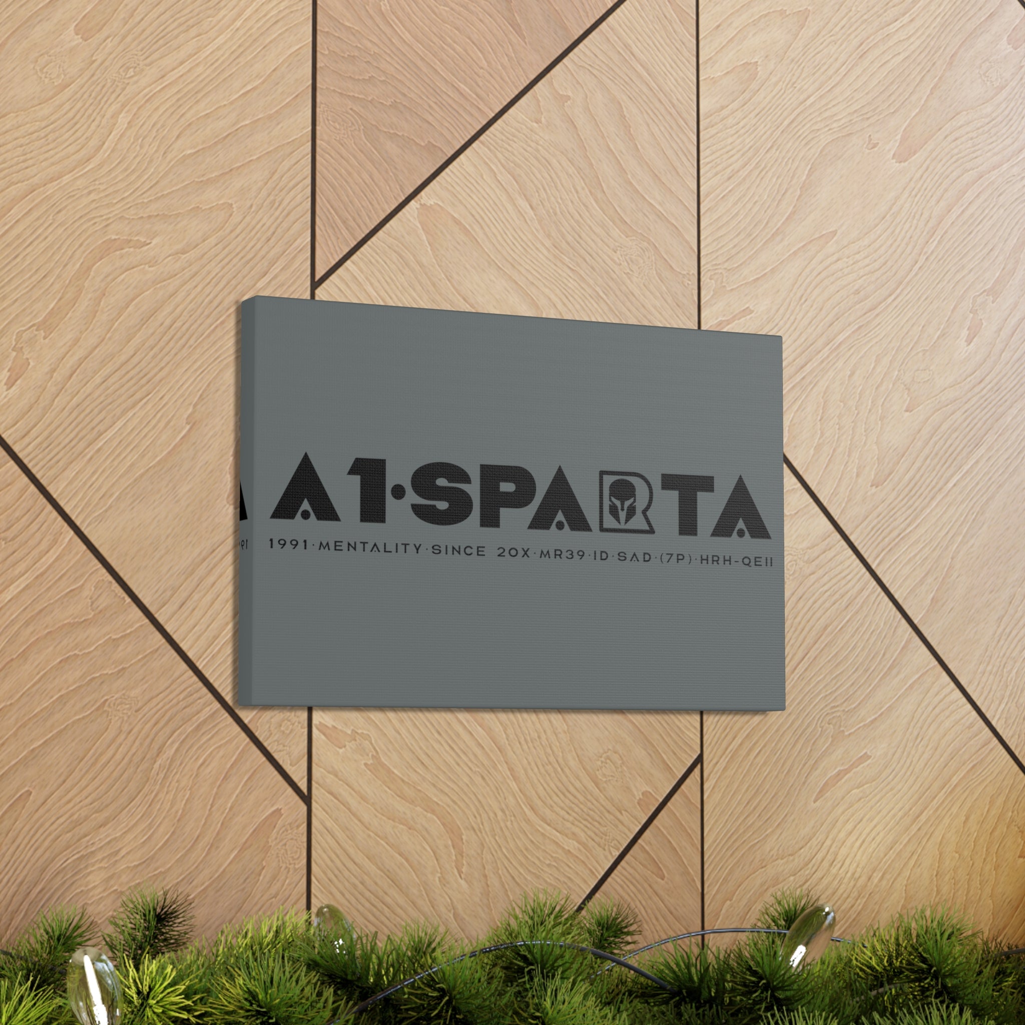 Canvas Gallery Wraps (A1•SPARTA RANGE)