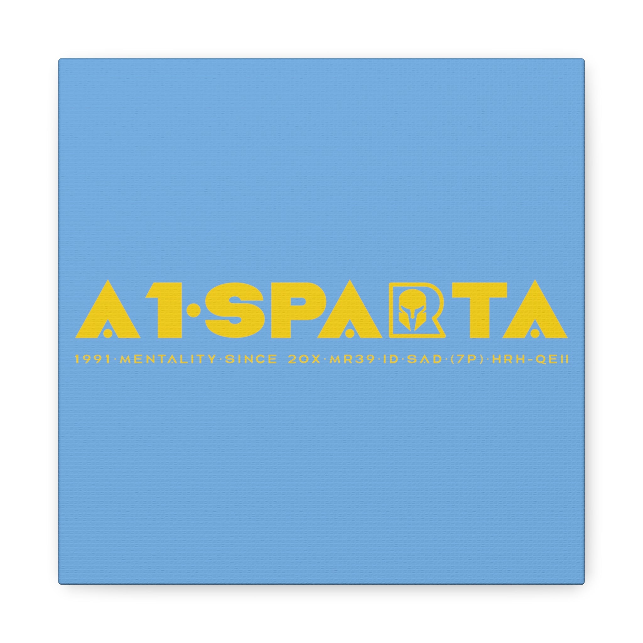 Canvas Gallery Wraps (A1•SPARTA RANGE)