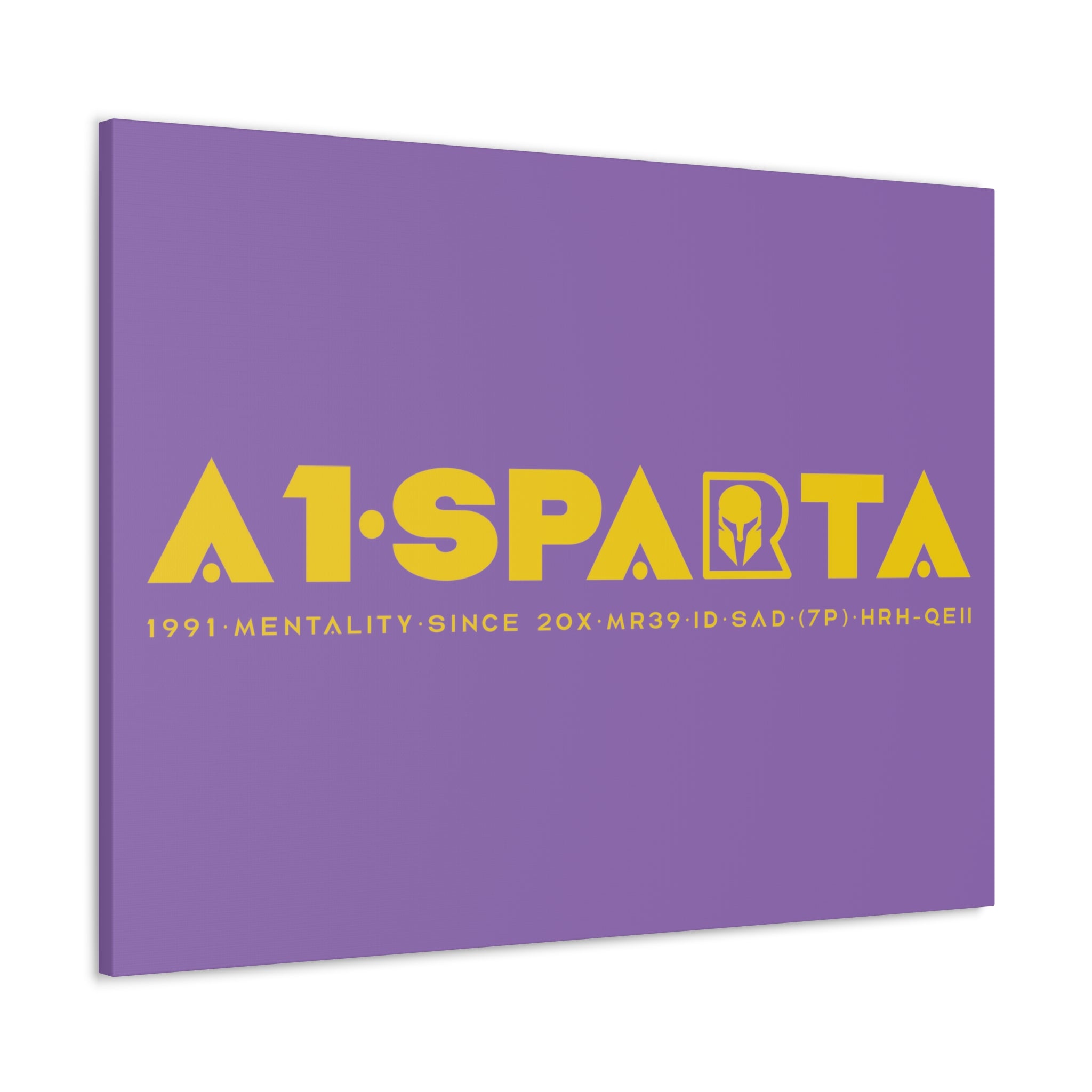 Canvas Gallery Wraps (A1•SPARTA RANGE)