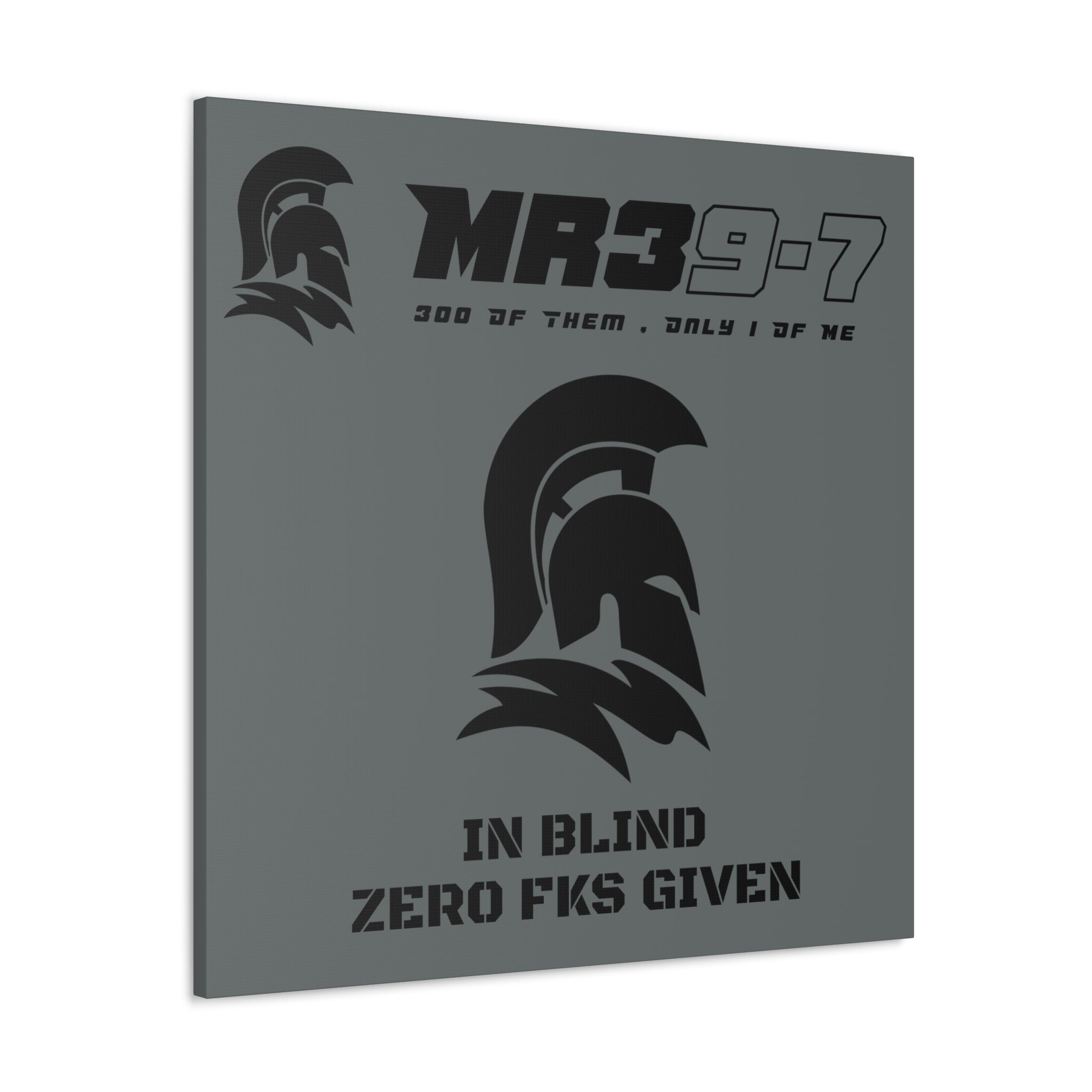 MR39 - Canvas Gallery Wraps