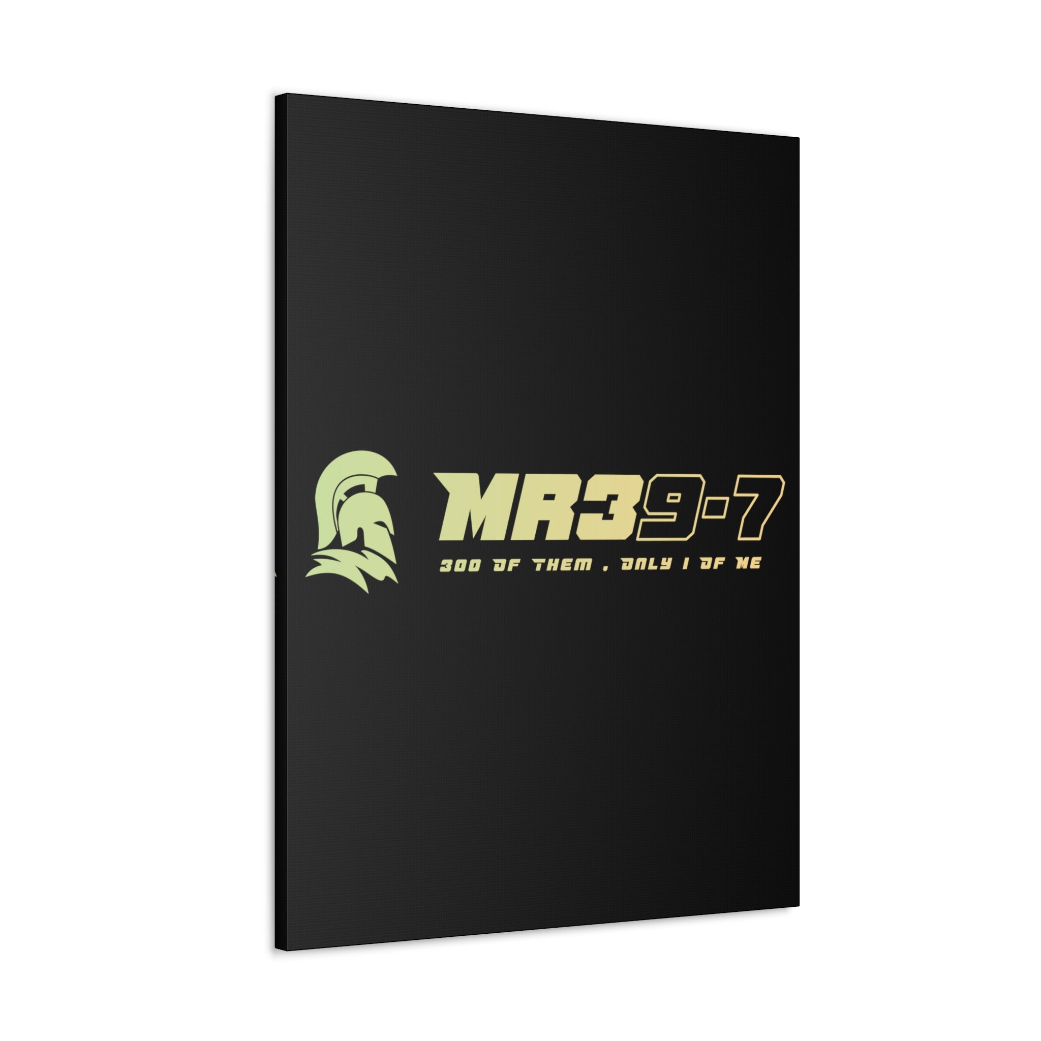 Canvas Gallery Wraps (A1•SPARTA RANGE)