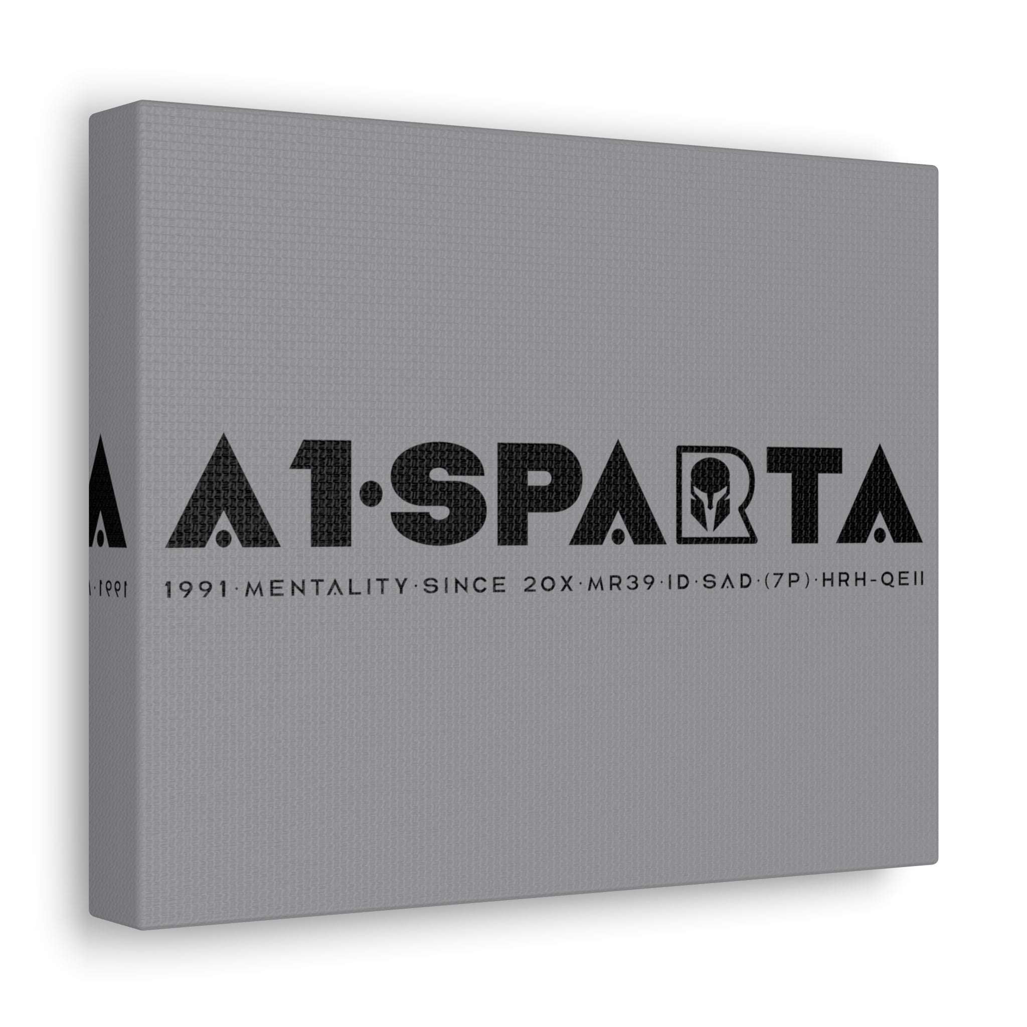 Canvas Gallery Wraps (A1•SPARTA RANGE)
