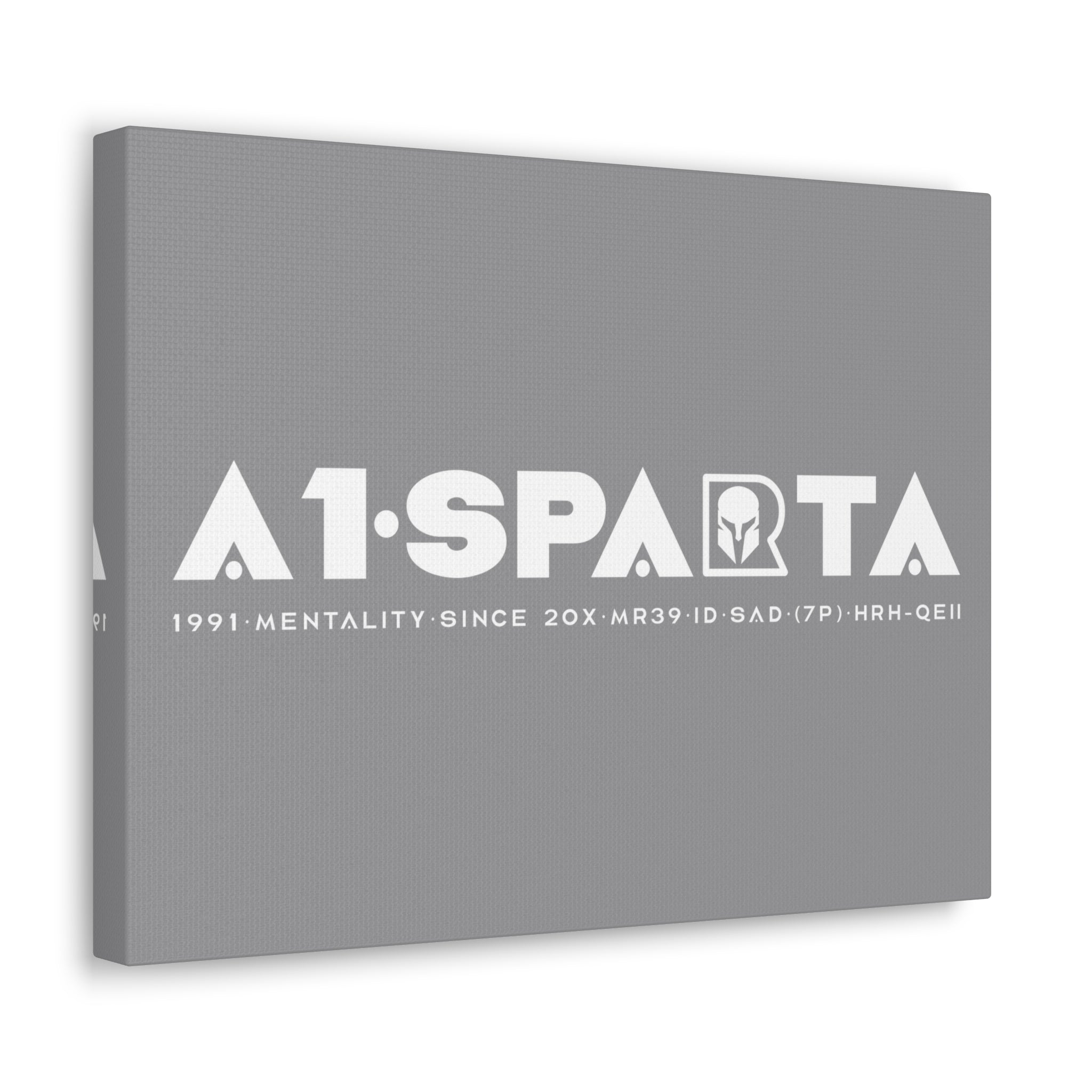 Canvas Gallery Wraps (A1•SPARTA RANGE)