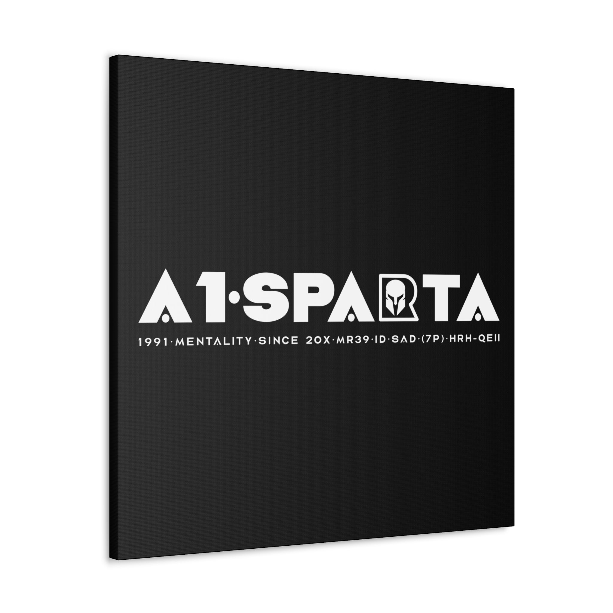 Canvas Gallery Wraps (A1•SPARTA RANGE)