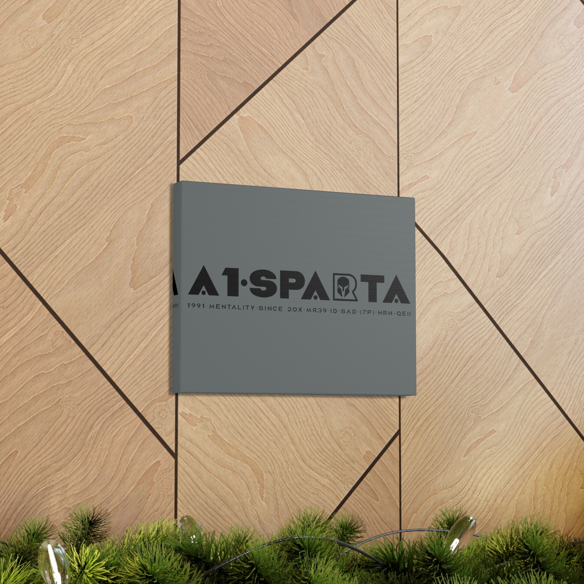 Canvas Gallery Wraps (A1•SPARTA RANGE)