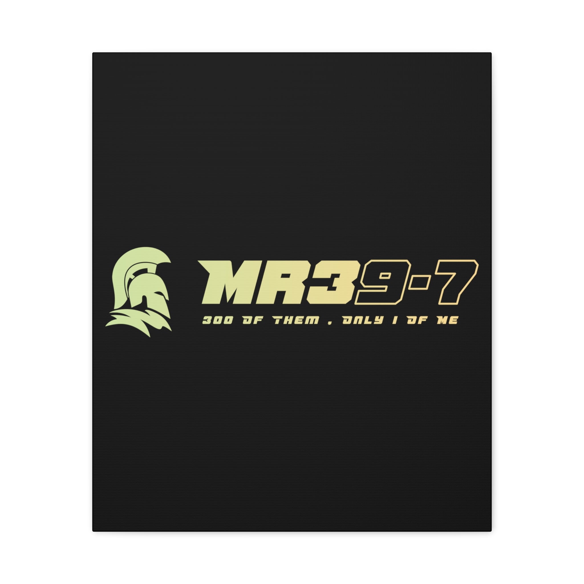 Canvas Gallery Wraps (A1•SPARTA RANGE)