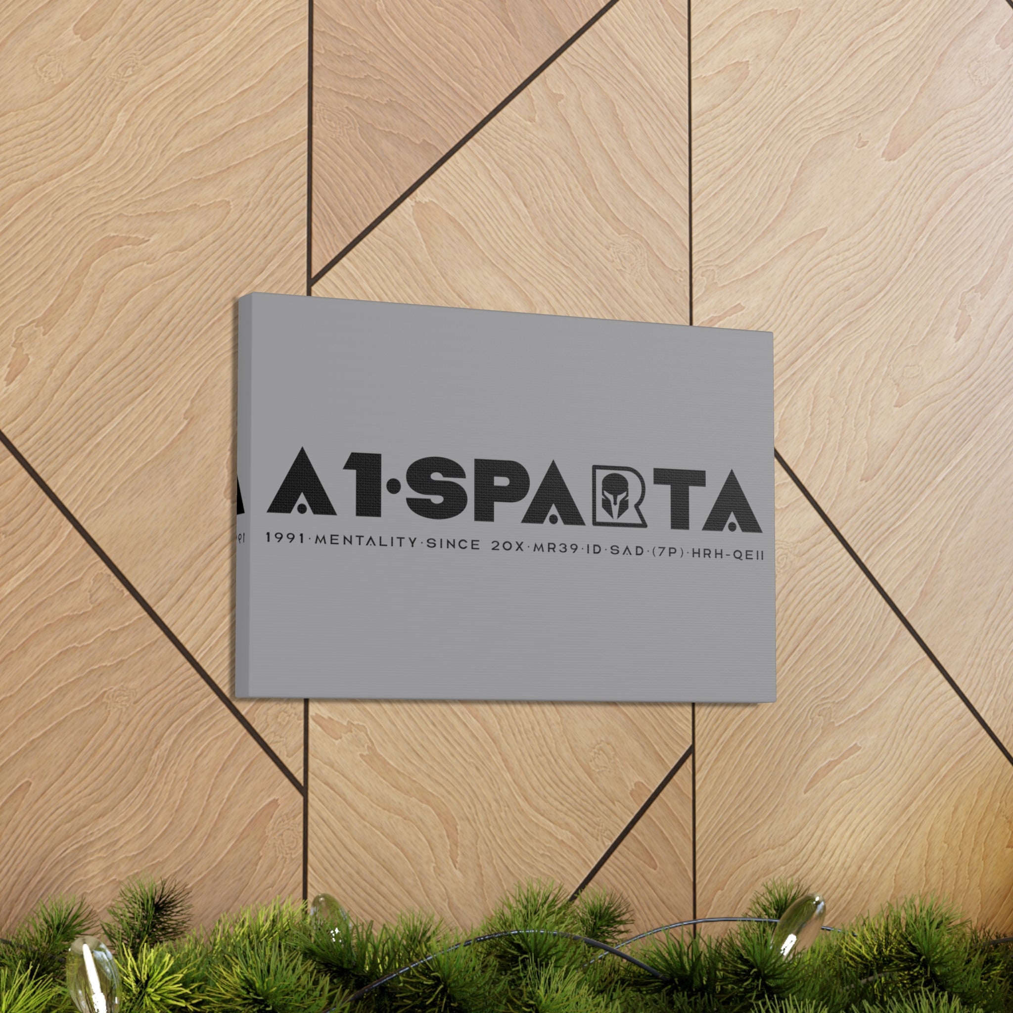 Canvas Gallery Wraps (A1•SPARTA RANGE)