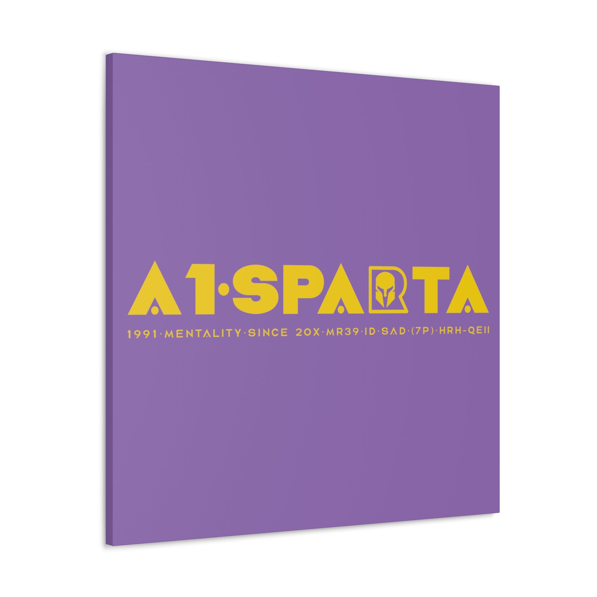Canvas Gallery Wraps (A1•SPARTA RANGE)
