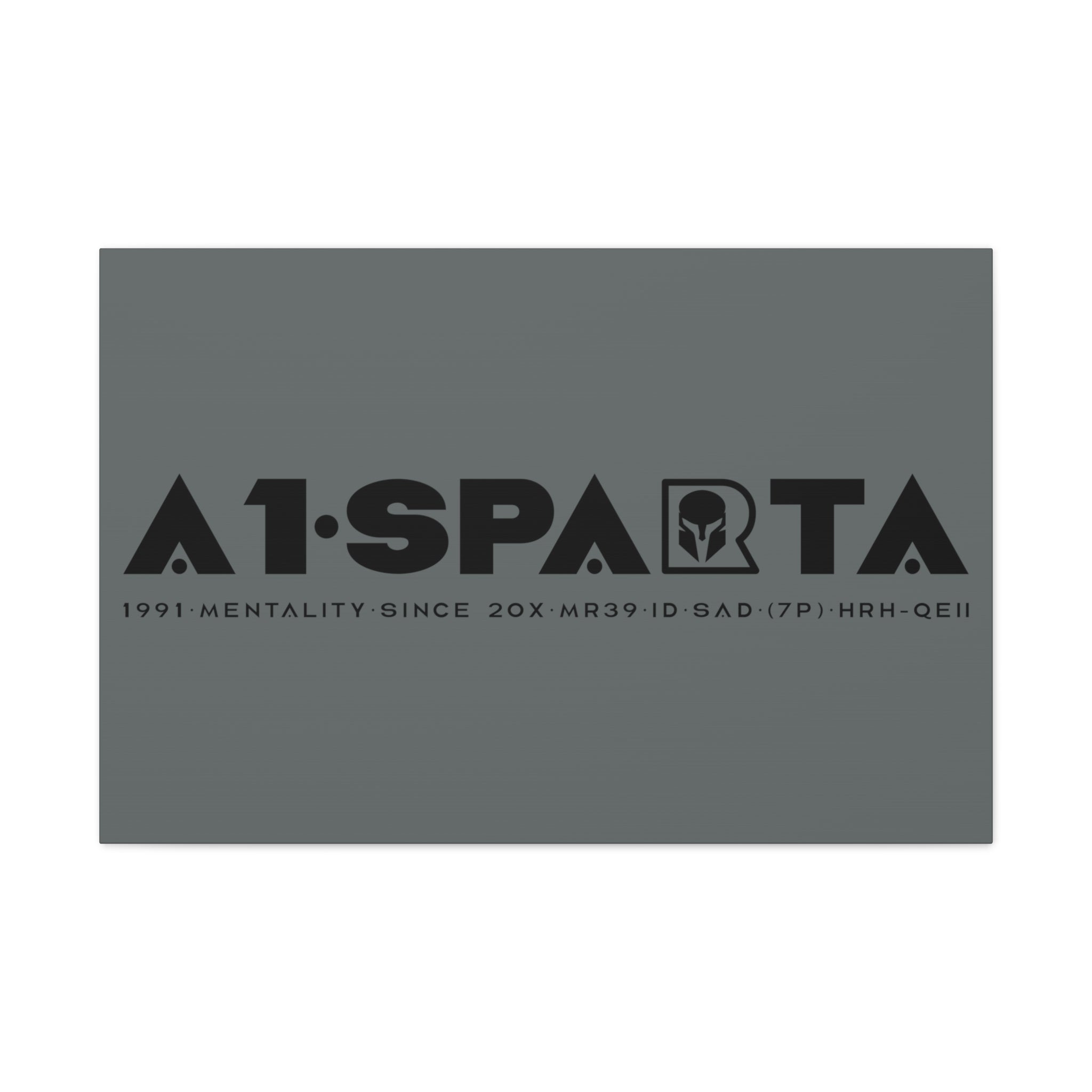 Canvas Gallery Wraps (A1•SPARTA RANGE)