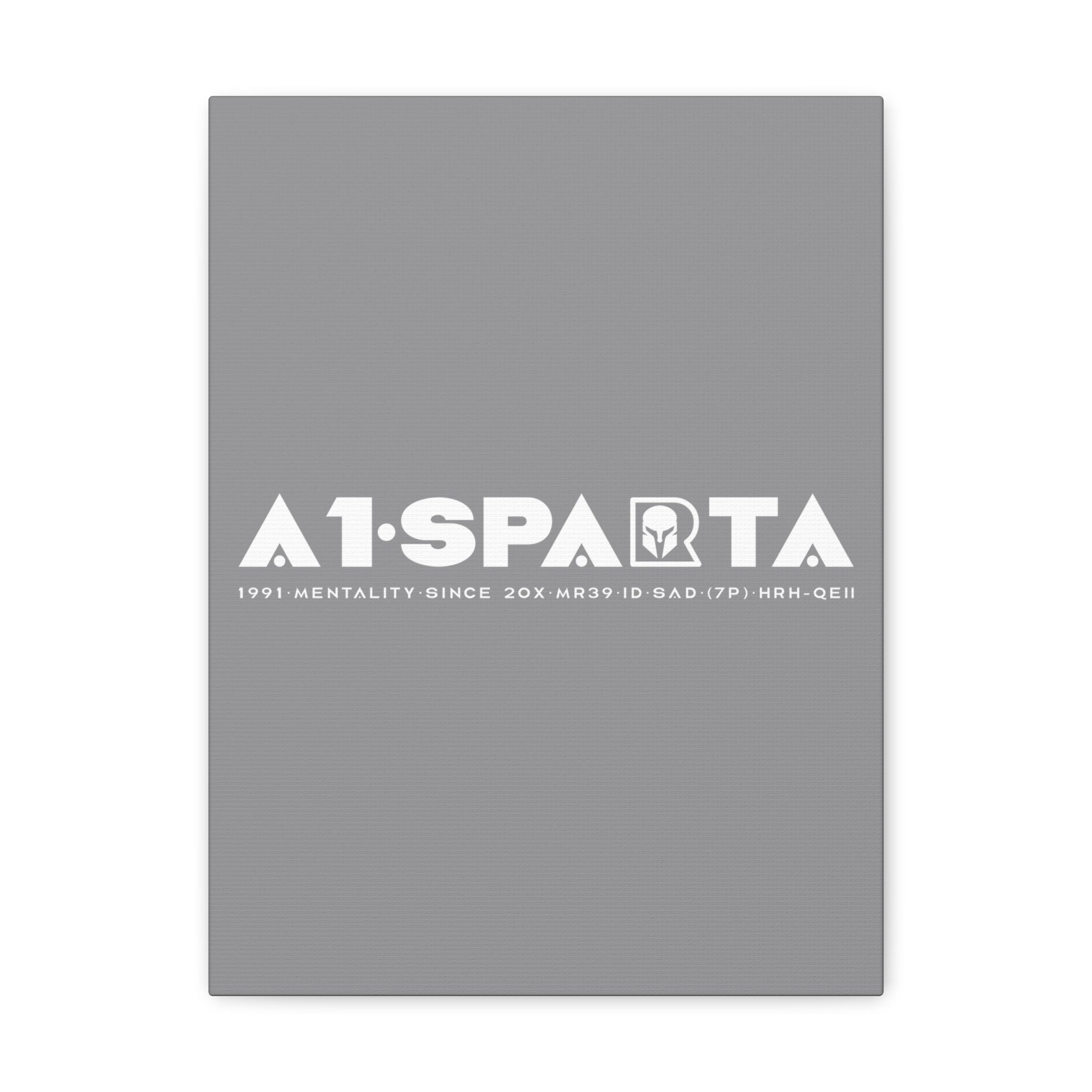 Canvas Gallery Wraps (A1•SPARTA RANGE)
