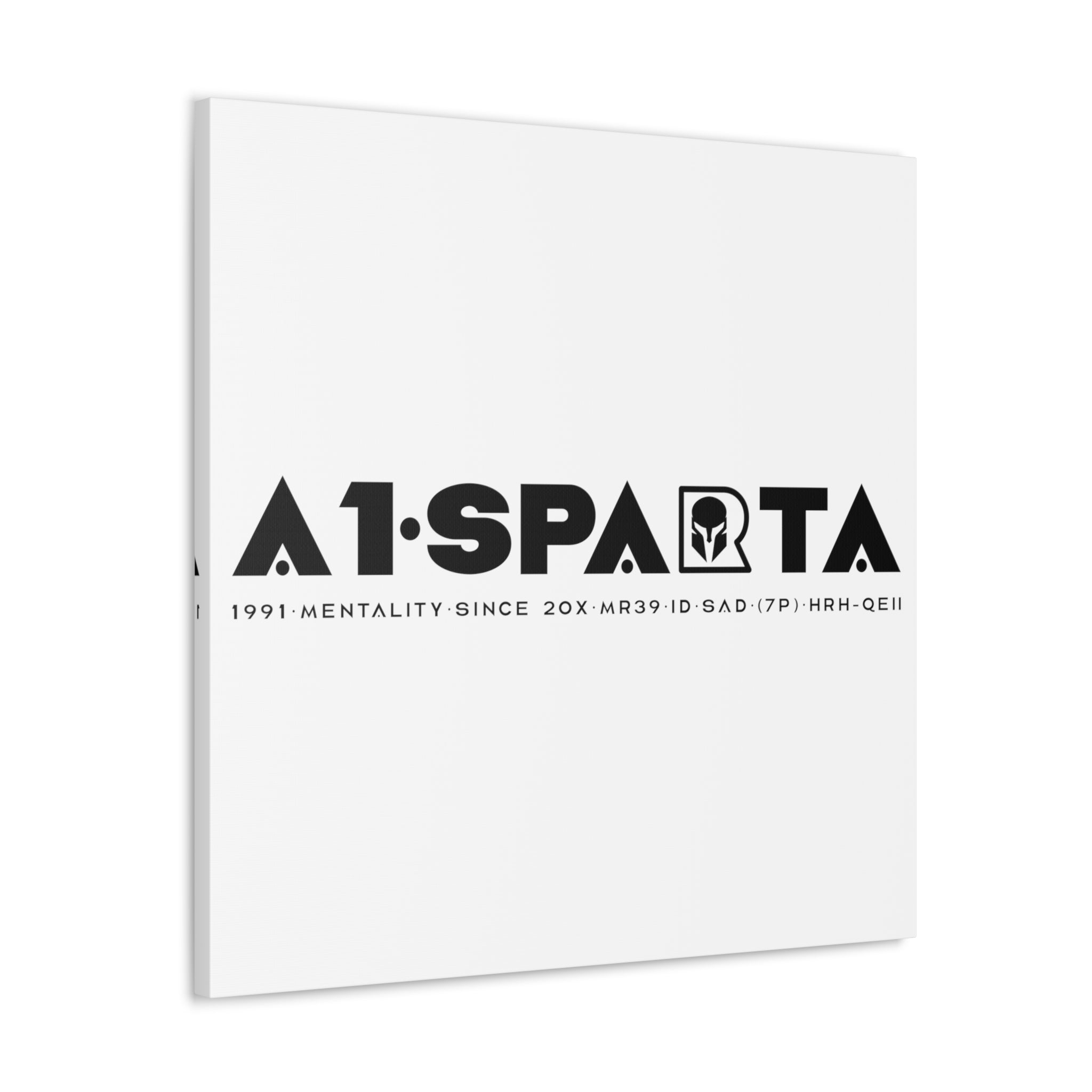 Canvas Gallery Wraps (A1•SPARTA RANGE)