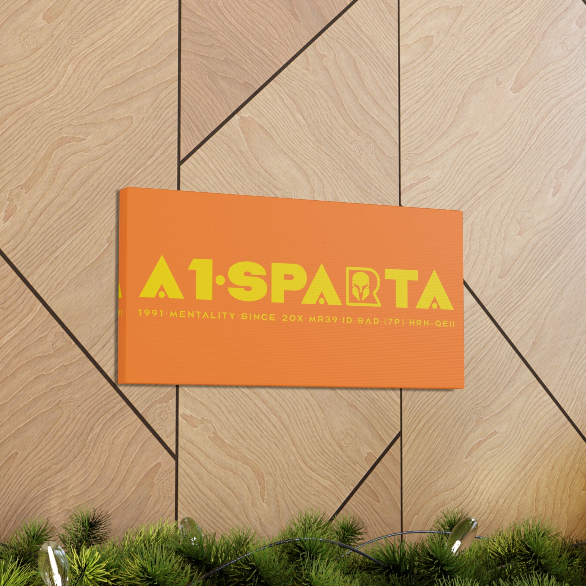 Canvas Gallery Wraps (A1•SPARTA RANGE)