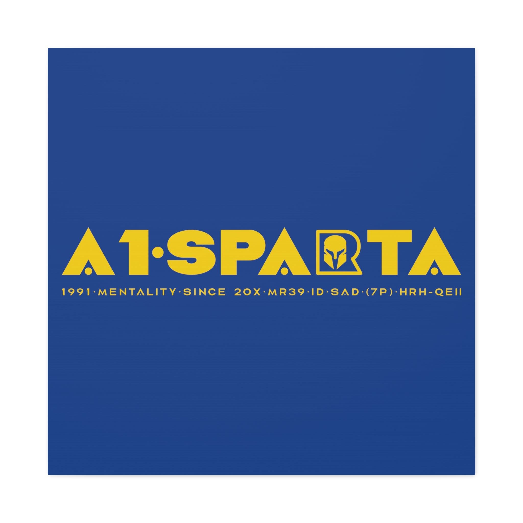 Canvas Gallery Wraps (A1•SPARTA RANGE)