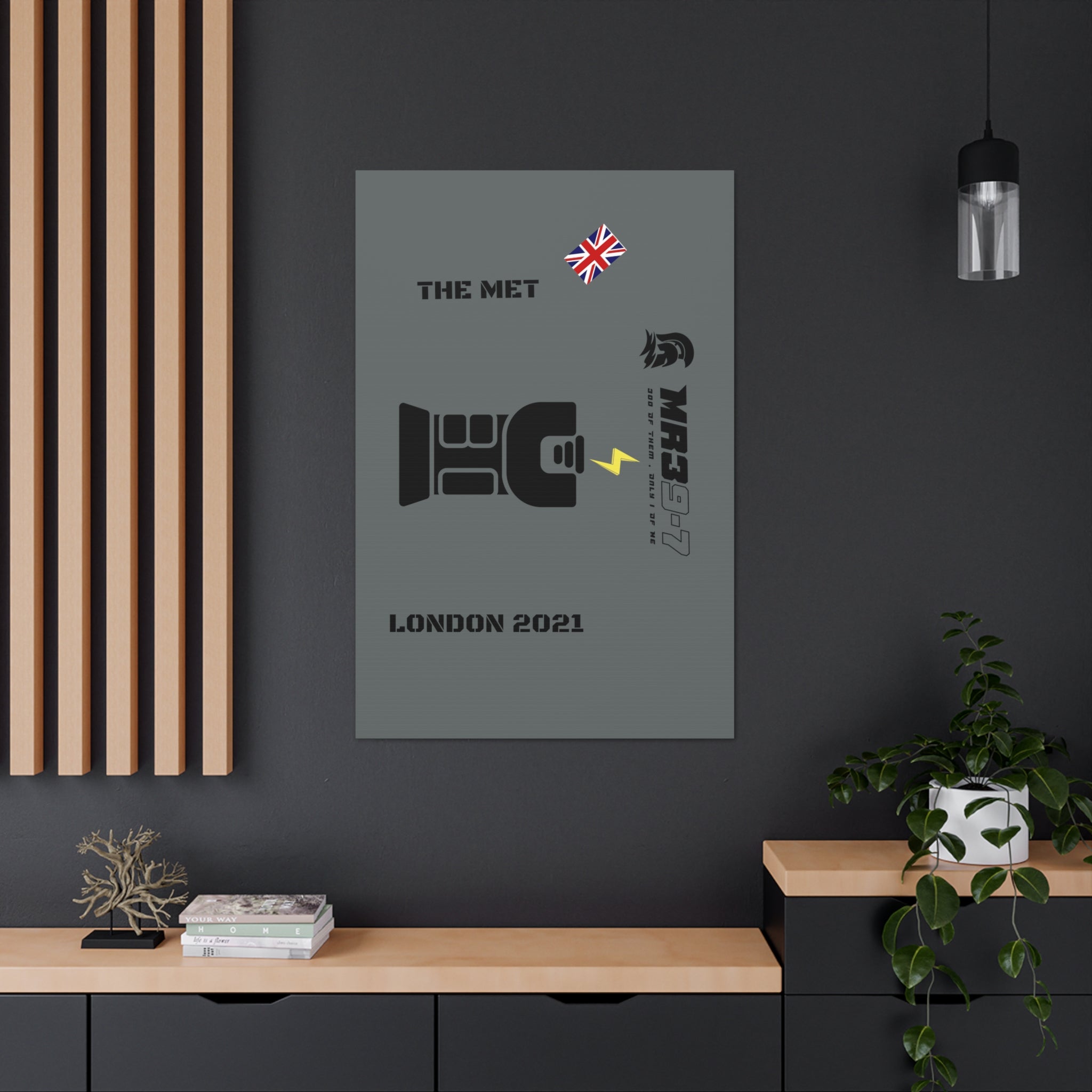 Canvas Gallery Wraps MR 39 Tasered by The MET 2021