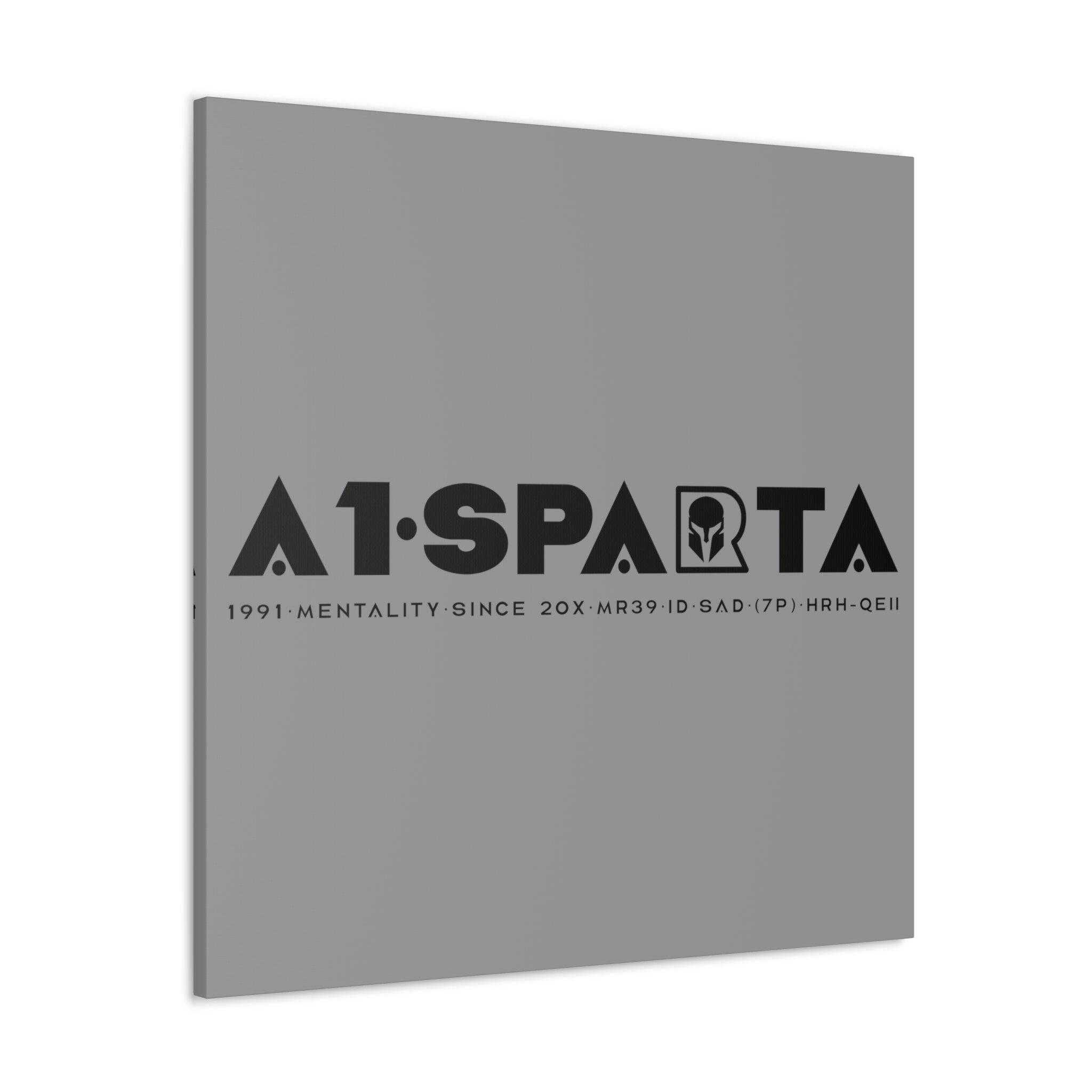 Canvas Gallery Wraps (A1•SPARTA RANGE)