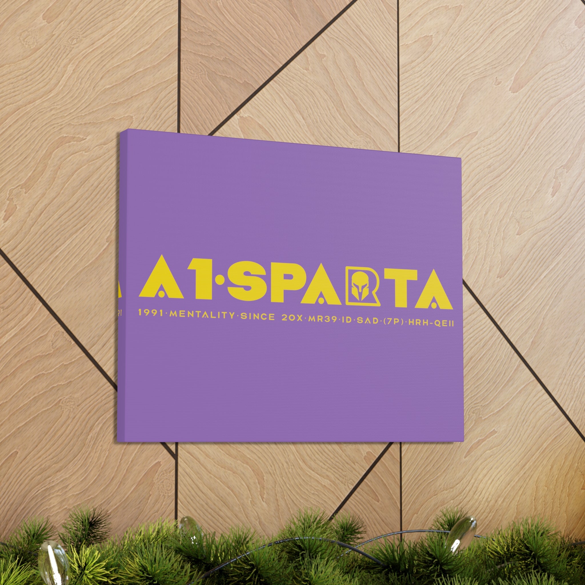 Canvas Gallery Wraps (A1•SPARTA RANGE)