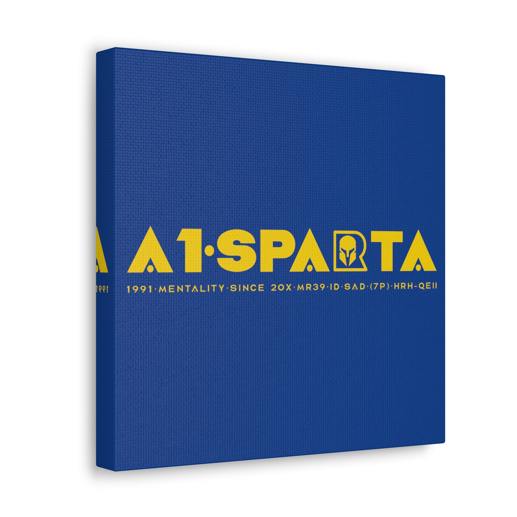 Canvas Gallery Wraps (A1•SPARTA RANGE)