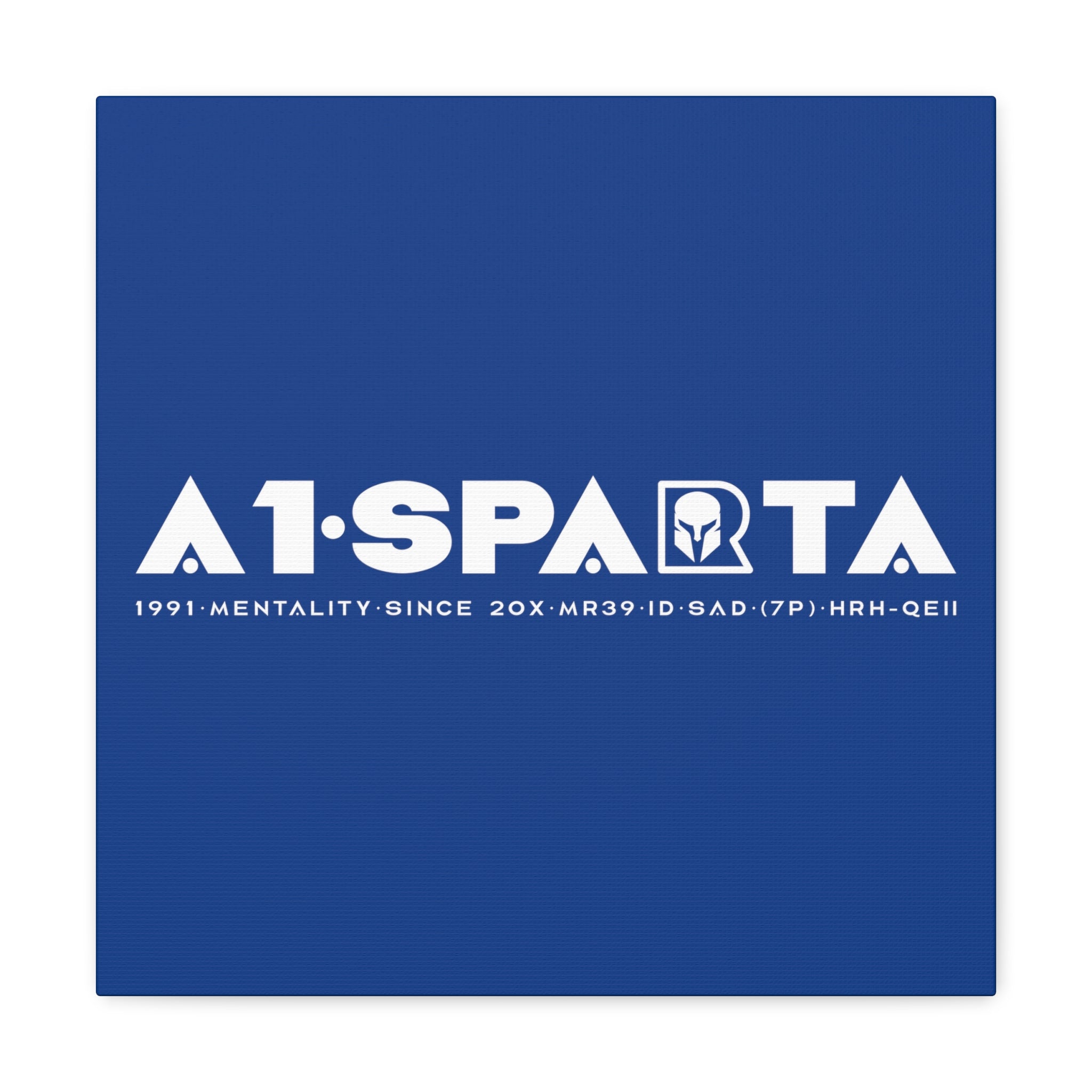 Canvas Gallery Wraps (A1•SPARTA RANGE)