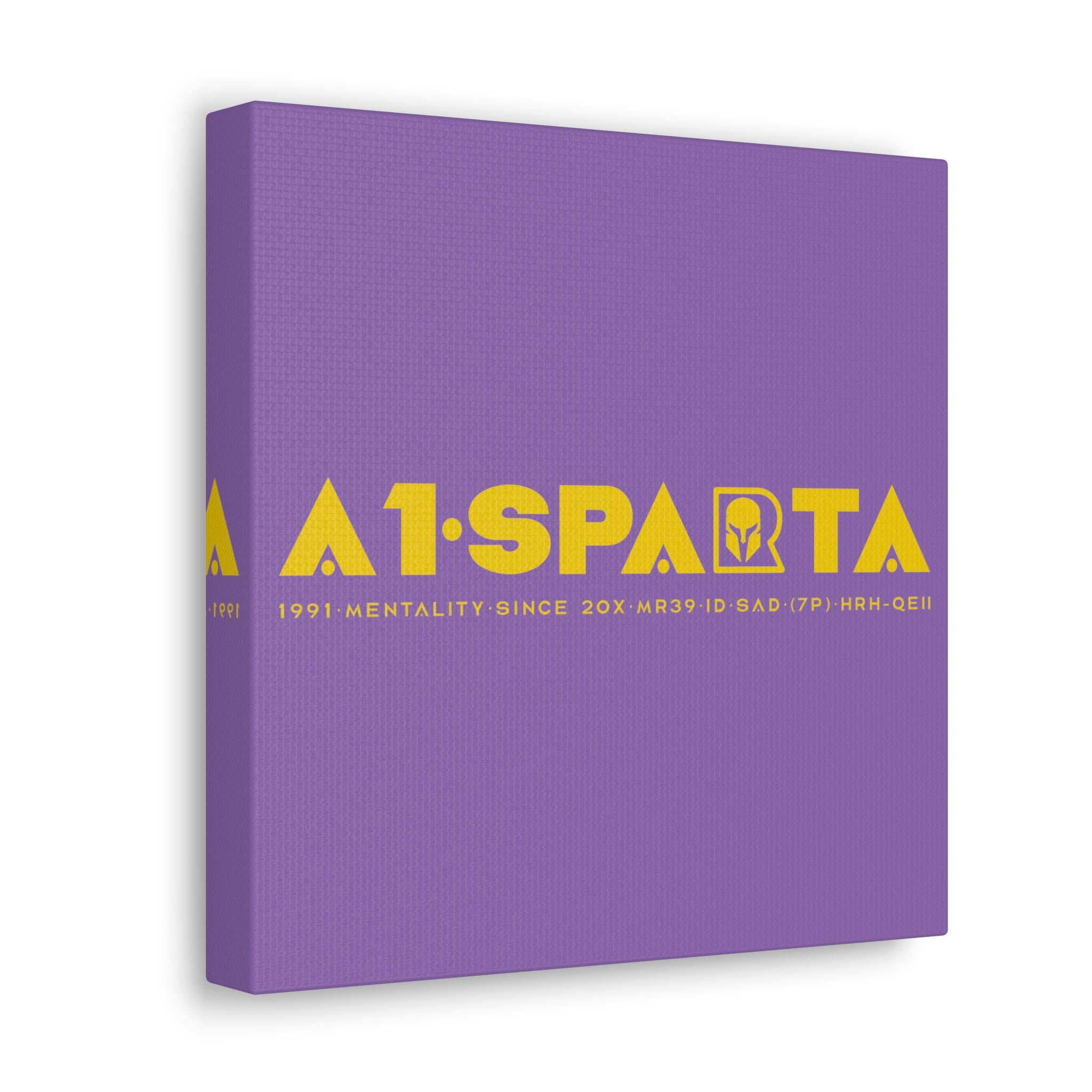 Canvas Gallery Wraps (A1•SPARTA RANGE)