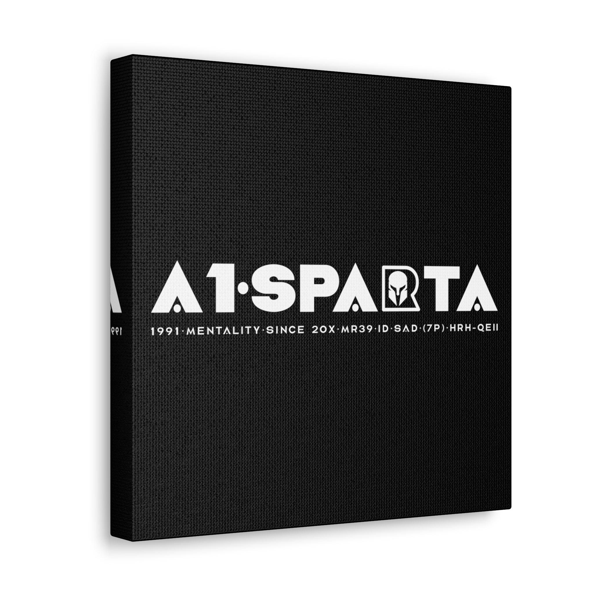 Canvas Gallery Wraps (A1•SPARTA RANGE)