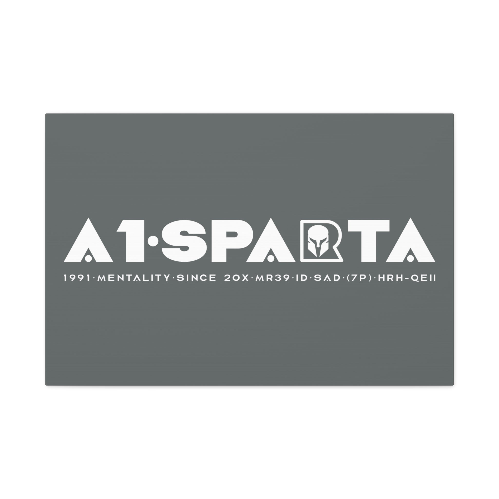 Canvas Gallery Wraps (A1•SPARTA RANGE)