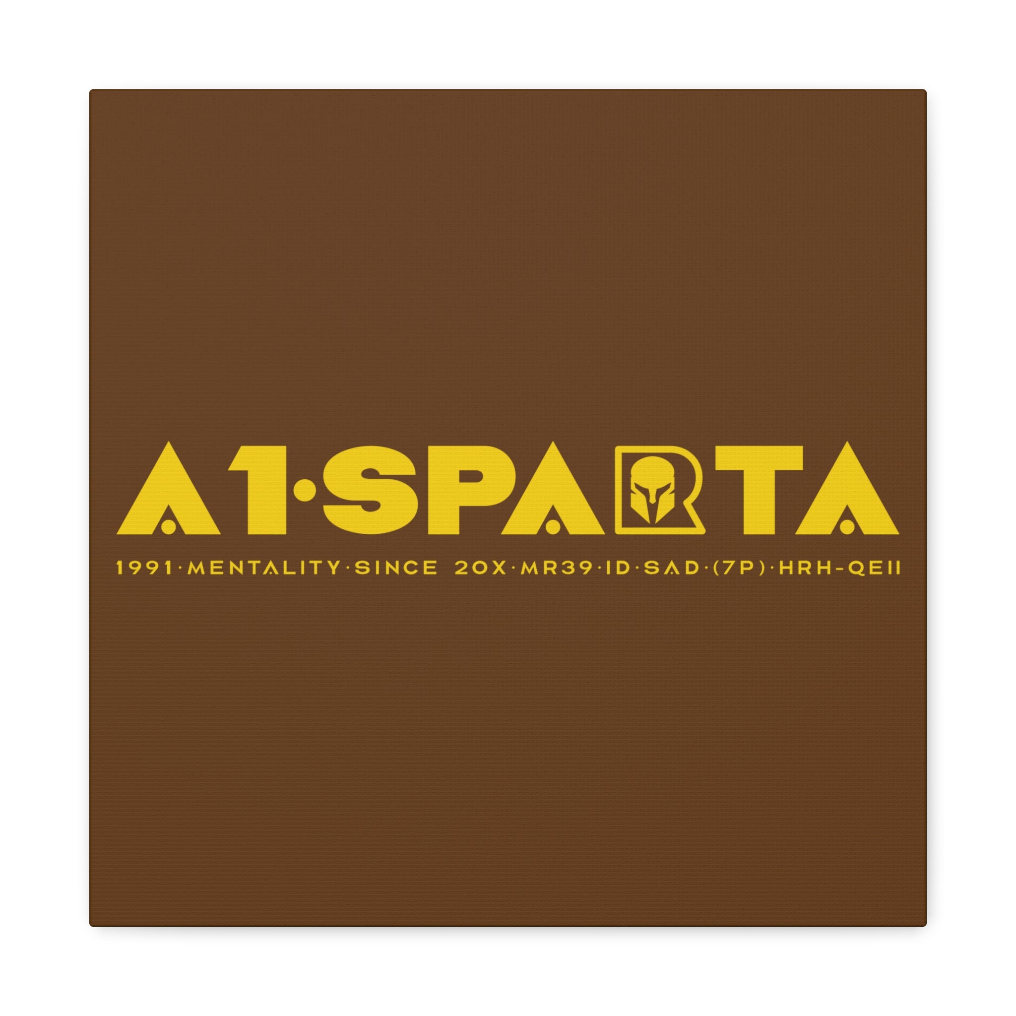 Canvas Gallery Wraps (A1•SPARTA RANGE)