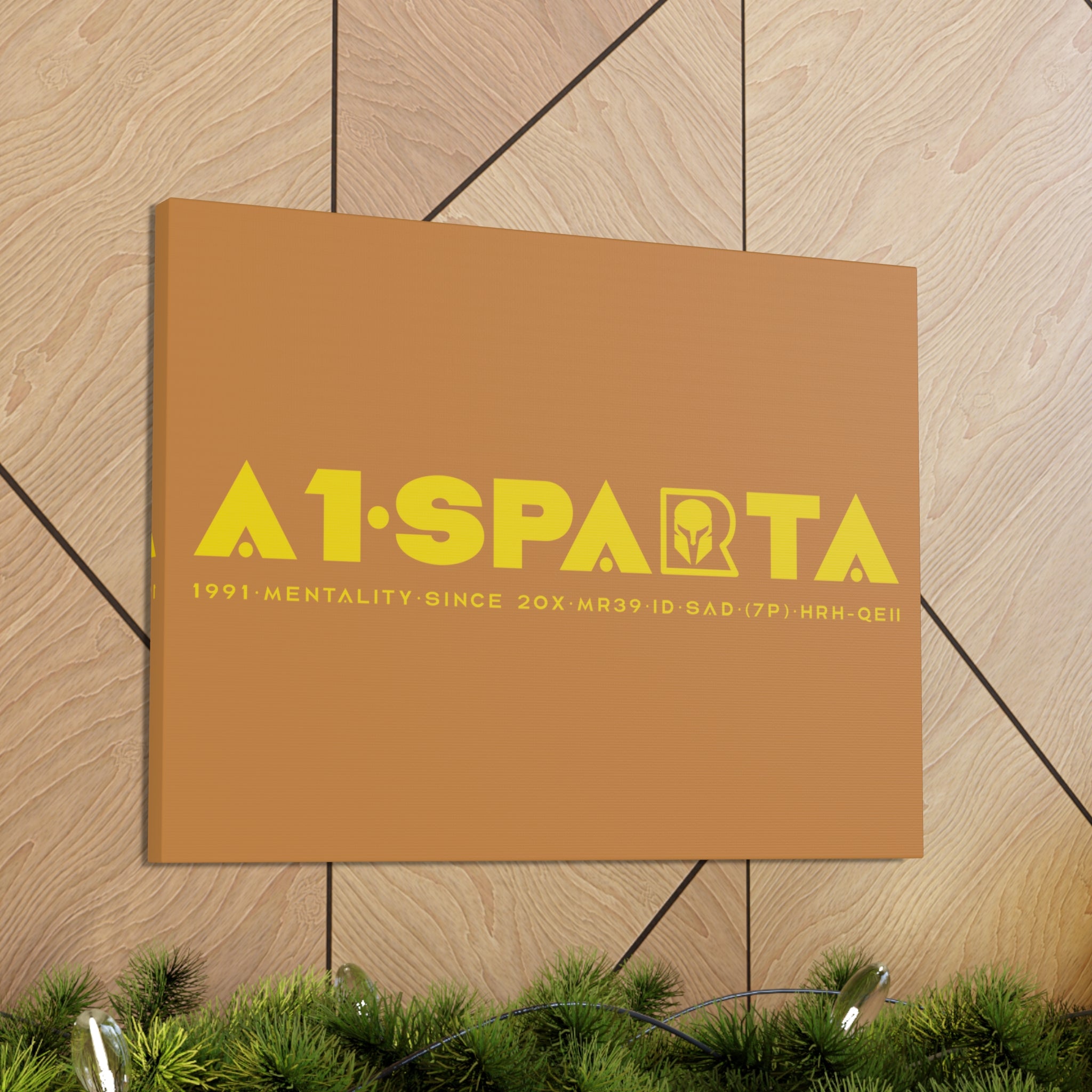 Canvas Gallery Wraps (A1•SPARTA RANGE)