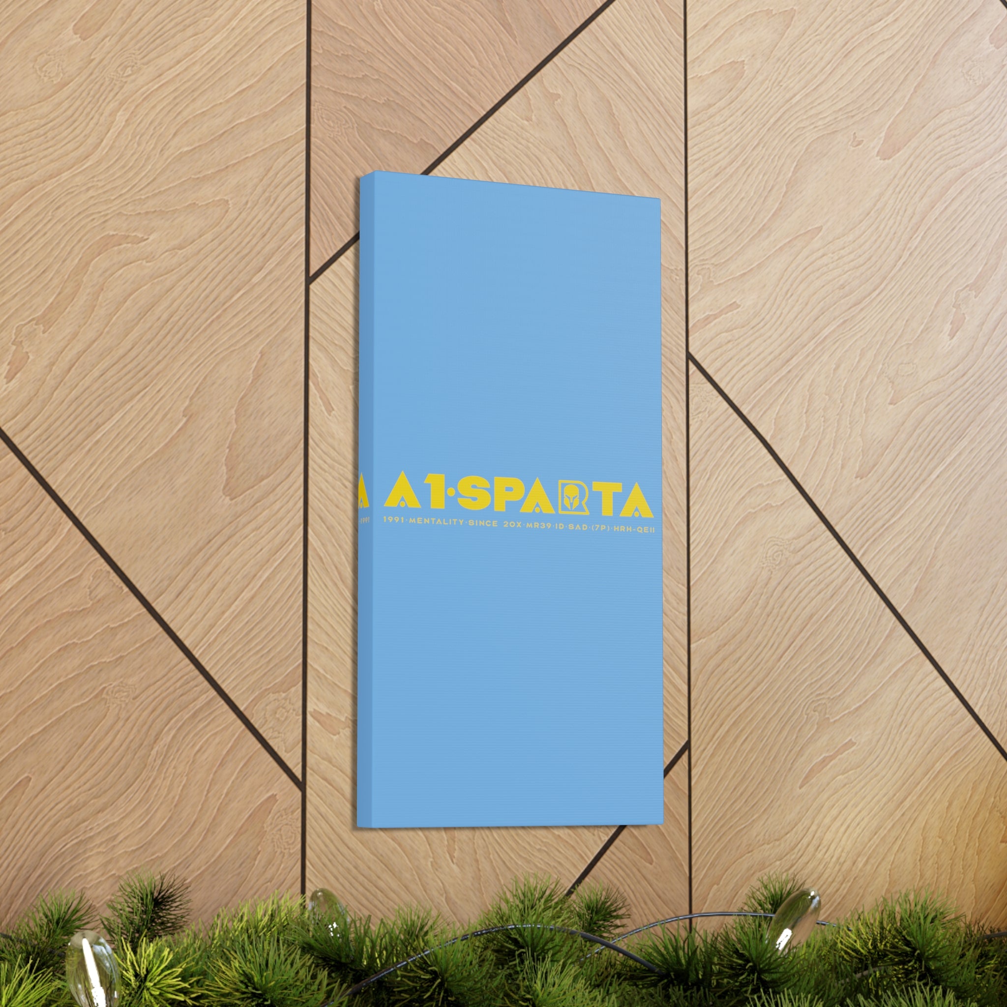 Canvas Gallery Wraps (A1•SPARTA RANGE)