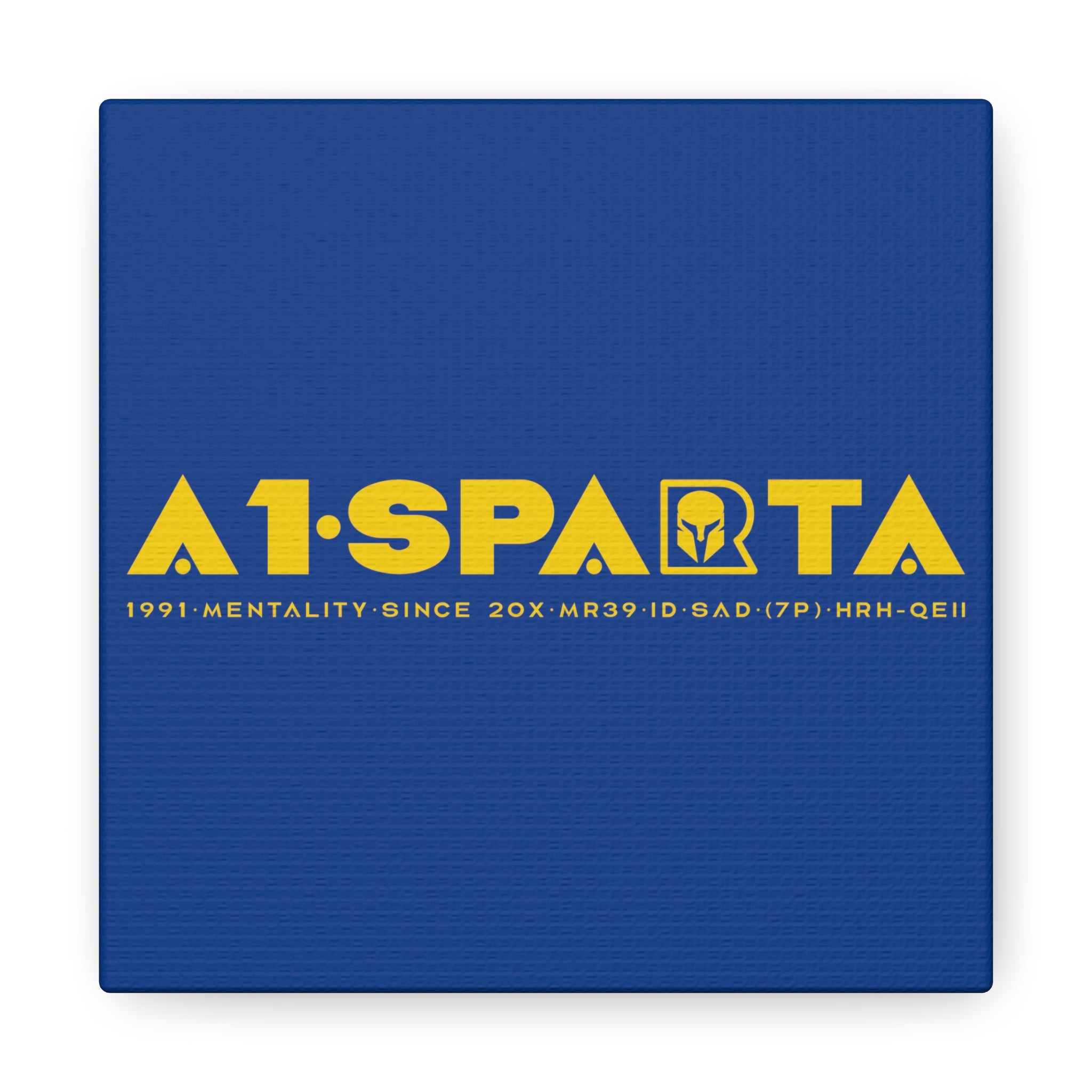 Canvas Gallery Wraps (A1•SPARTA RANGE)