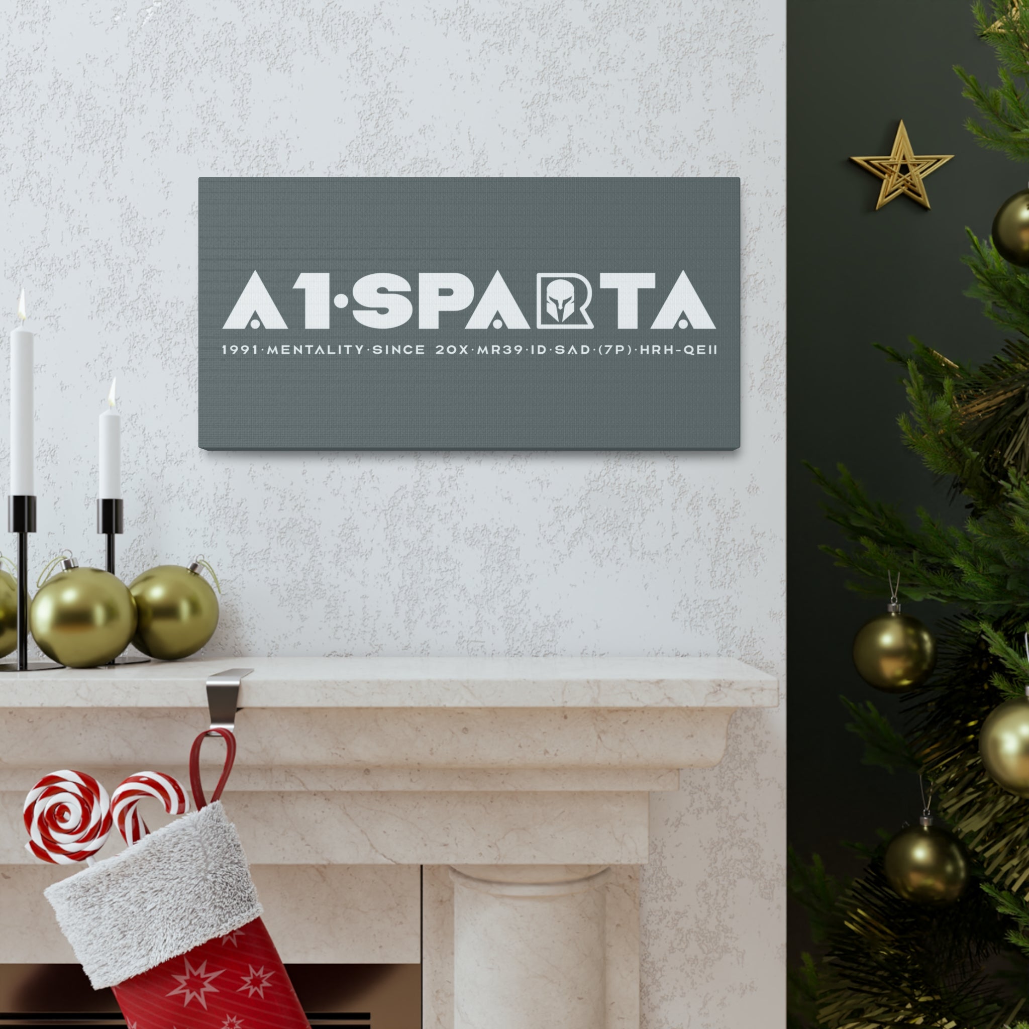 Canvas Gallery Wraps (A1•SPARTA RANGE)