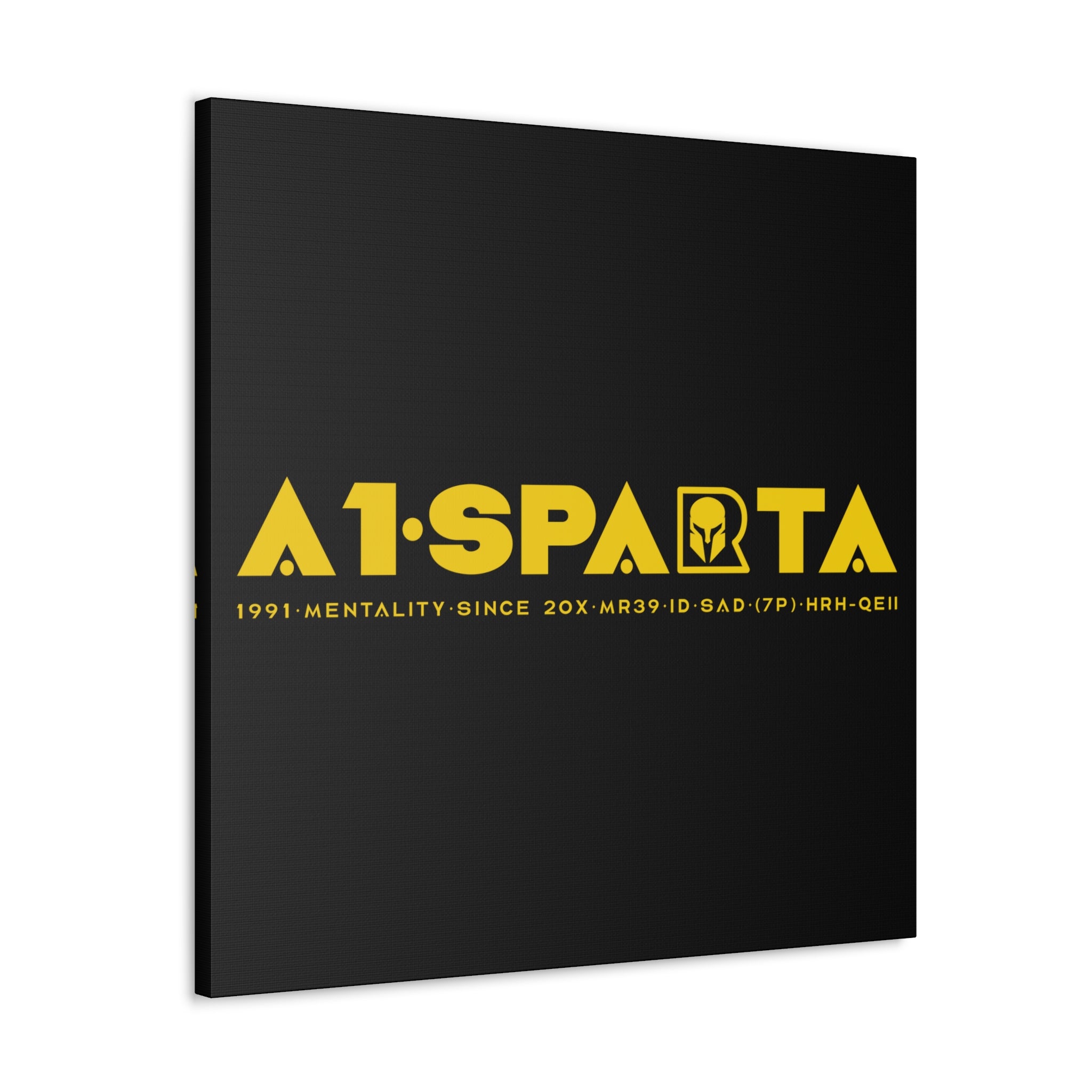Canvas Gallery Wraps (A1•SPARTA RANGE)
