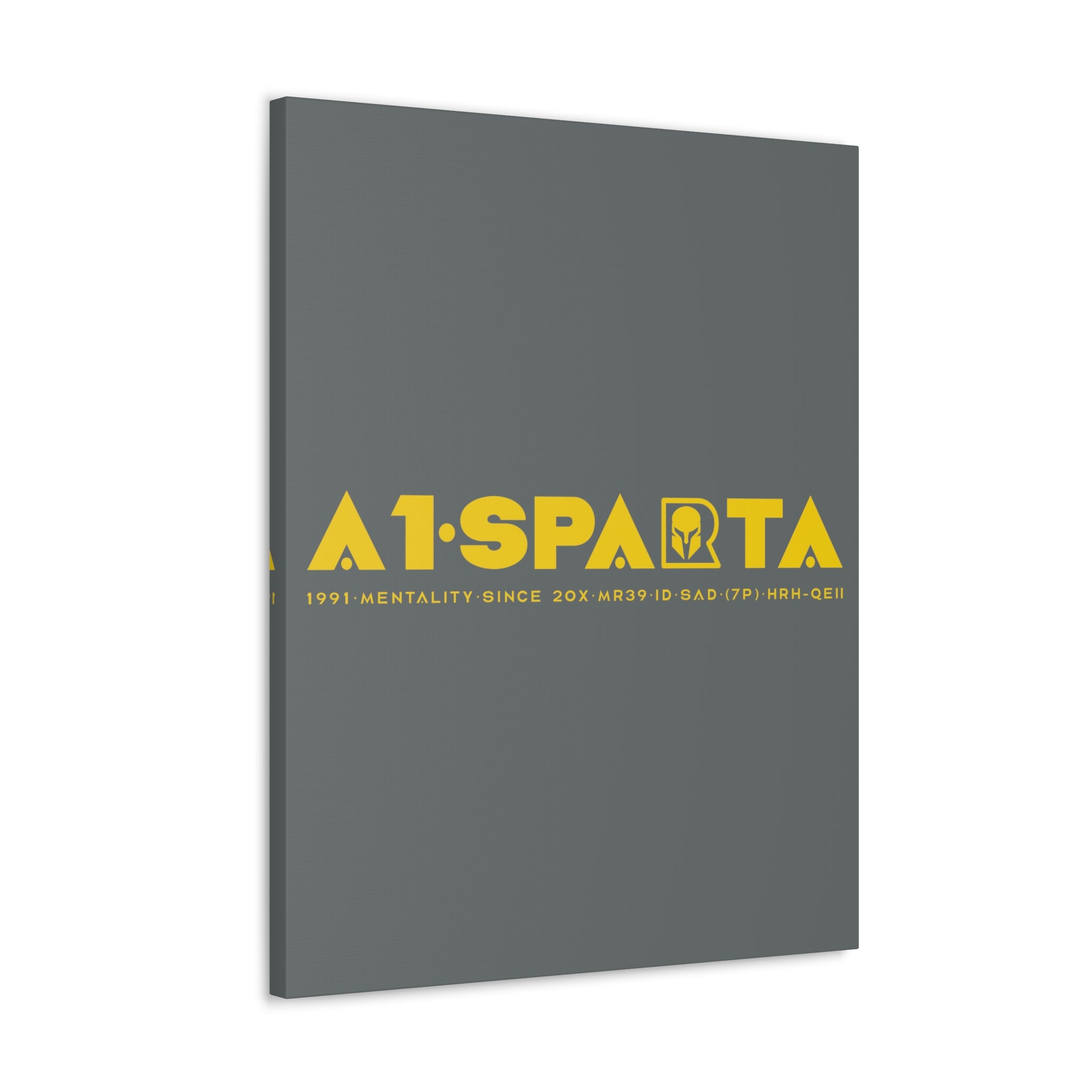 Canvas Gallery Wraps (A1•SPARTA RANGE)