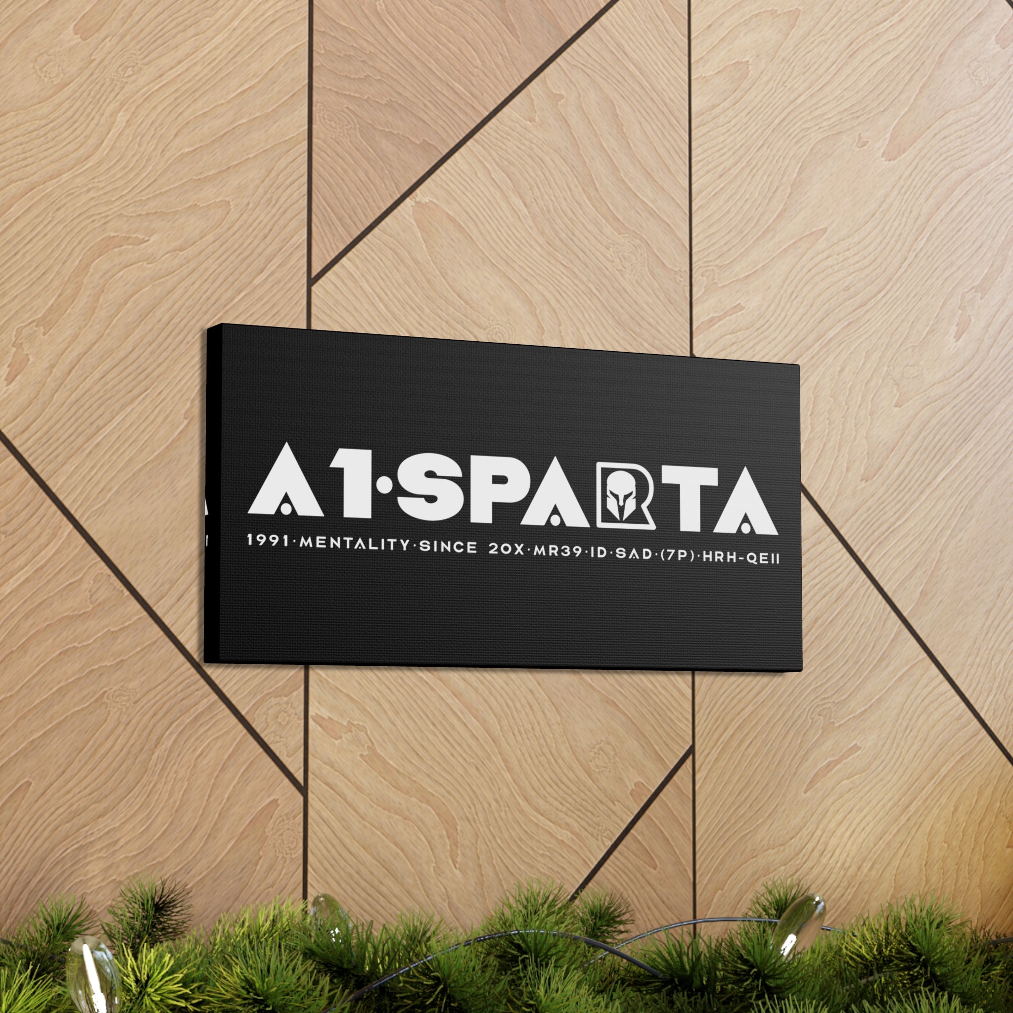 Canvas Gallery Wraps (A1•SPARTA RANGE)