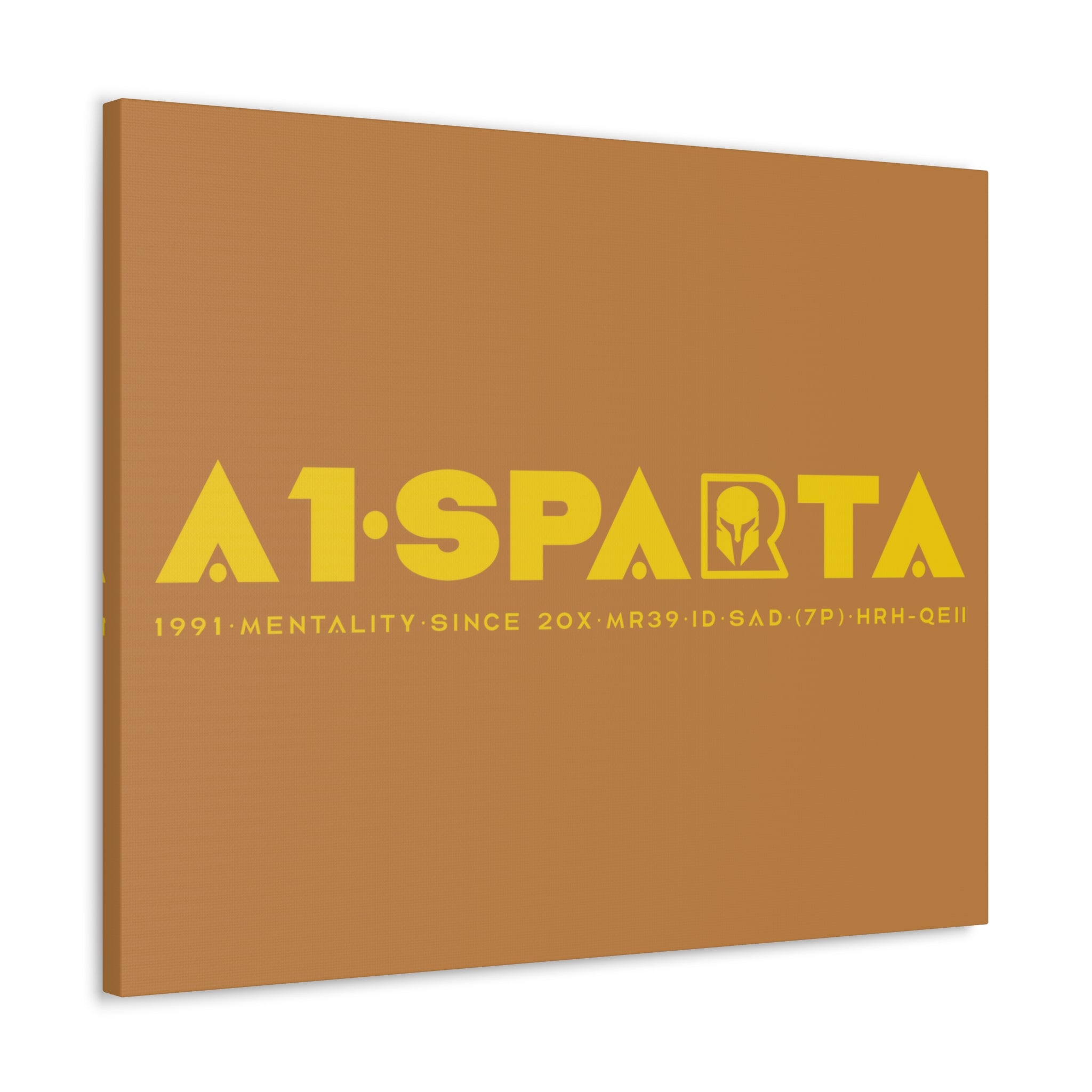 Canvas Gallery Wraps (A1•SPARTA RANGE)