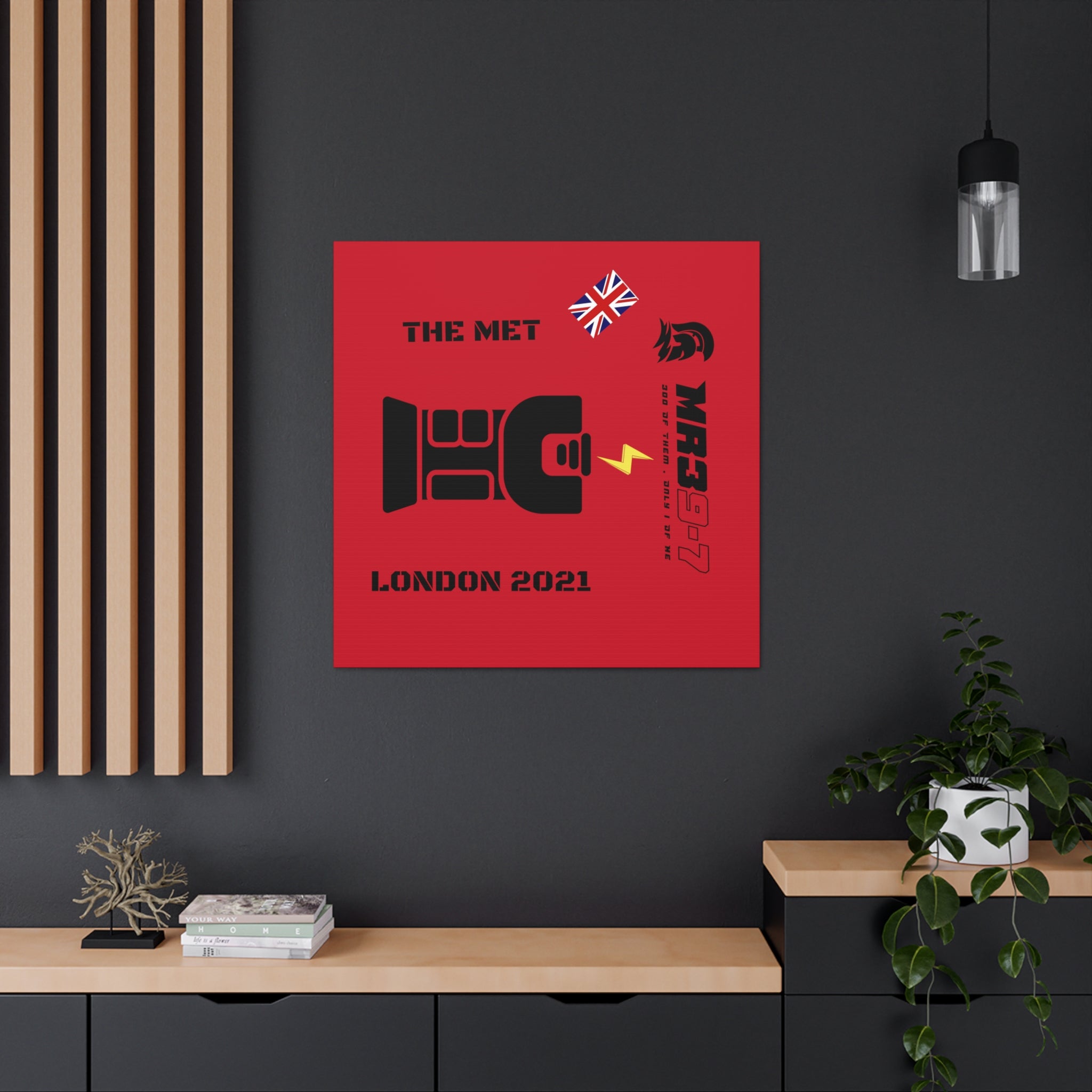 Canvas Gallery Wraps MR 39 Tasered by The MET 2021