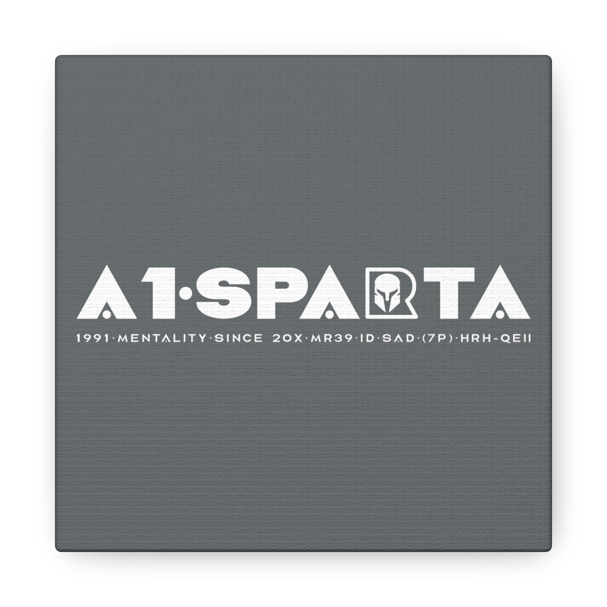 Canvas Gallery Wraps (A1•SPARTA RANGE)