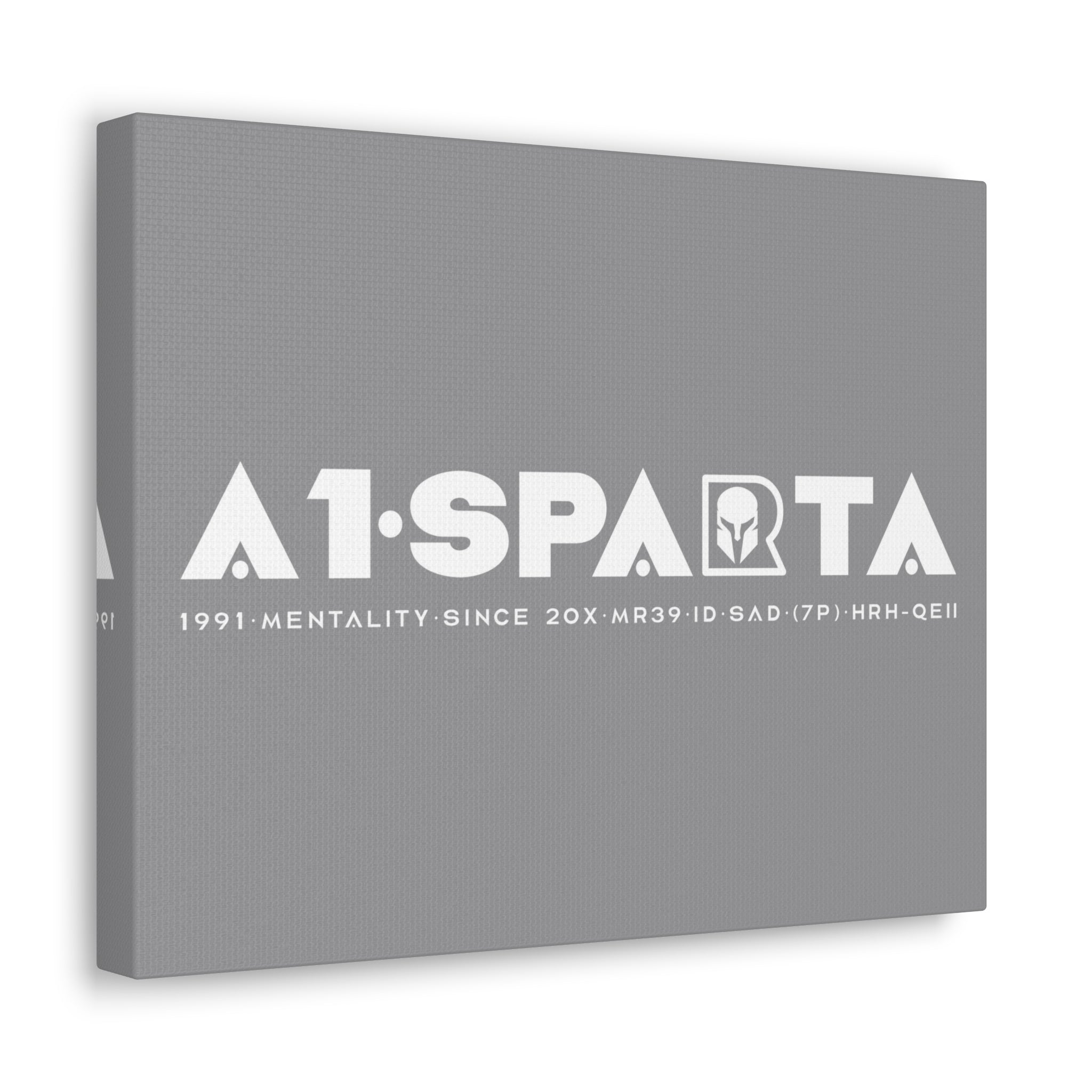 Canvas Gallery Wraps (A1•SPARTA RANGE)