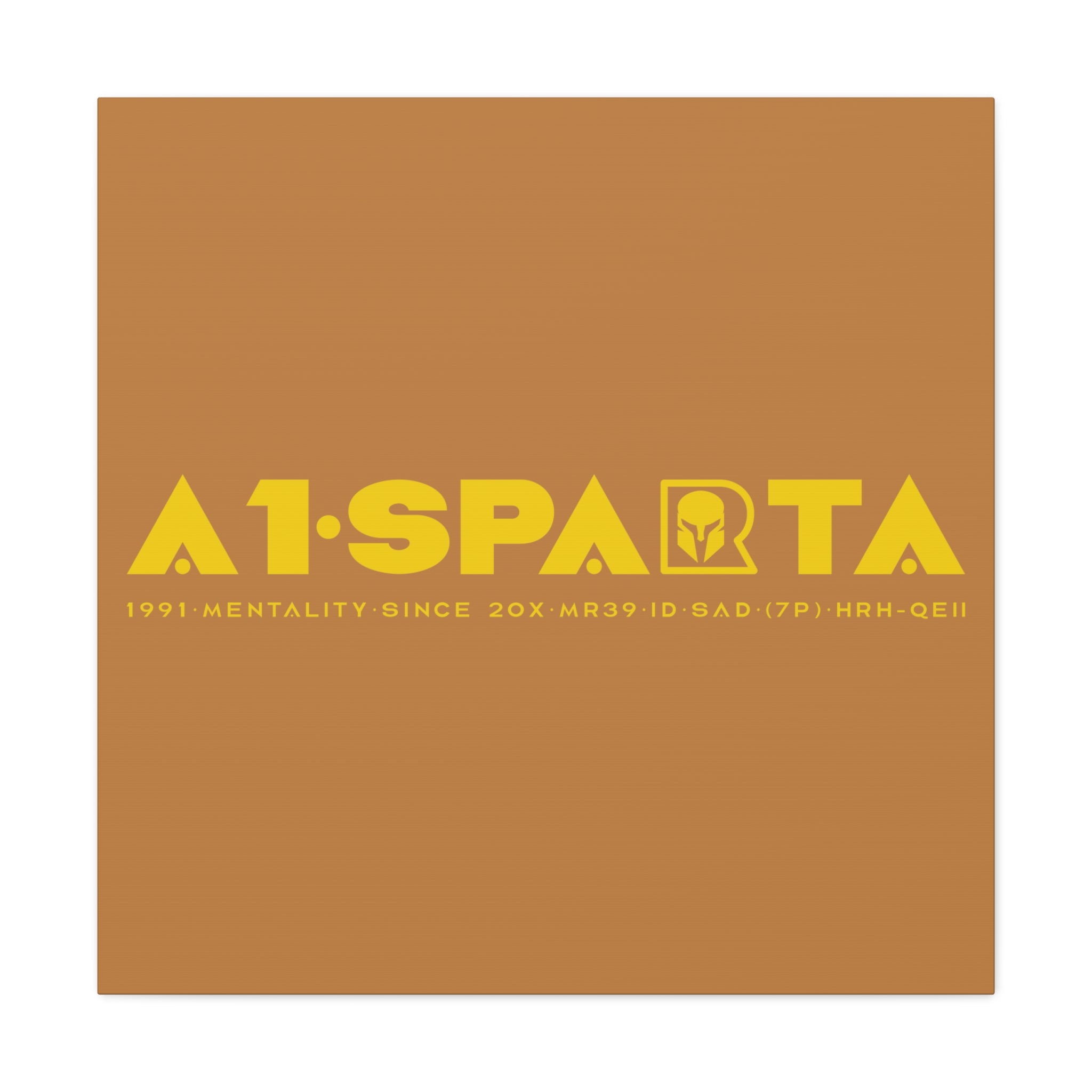 Canvas Gallery Wraps (A1•SPARTA RANGE)