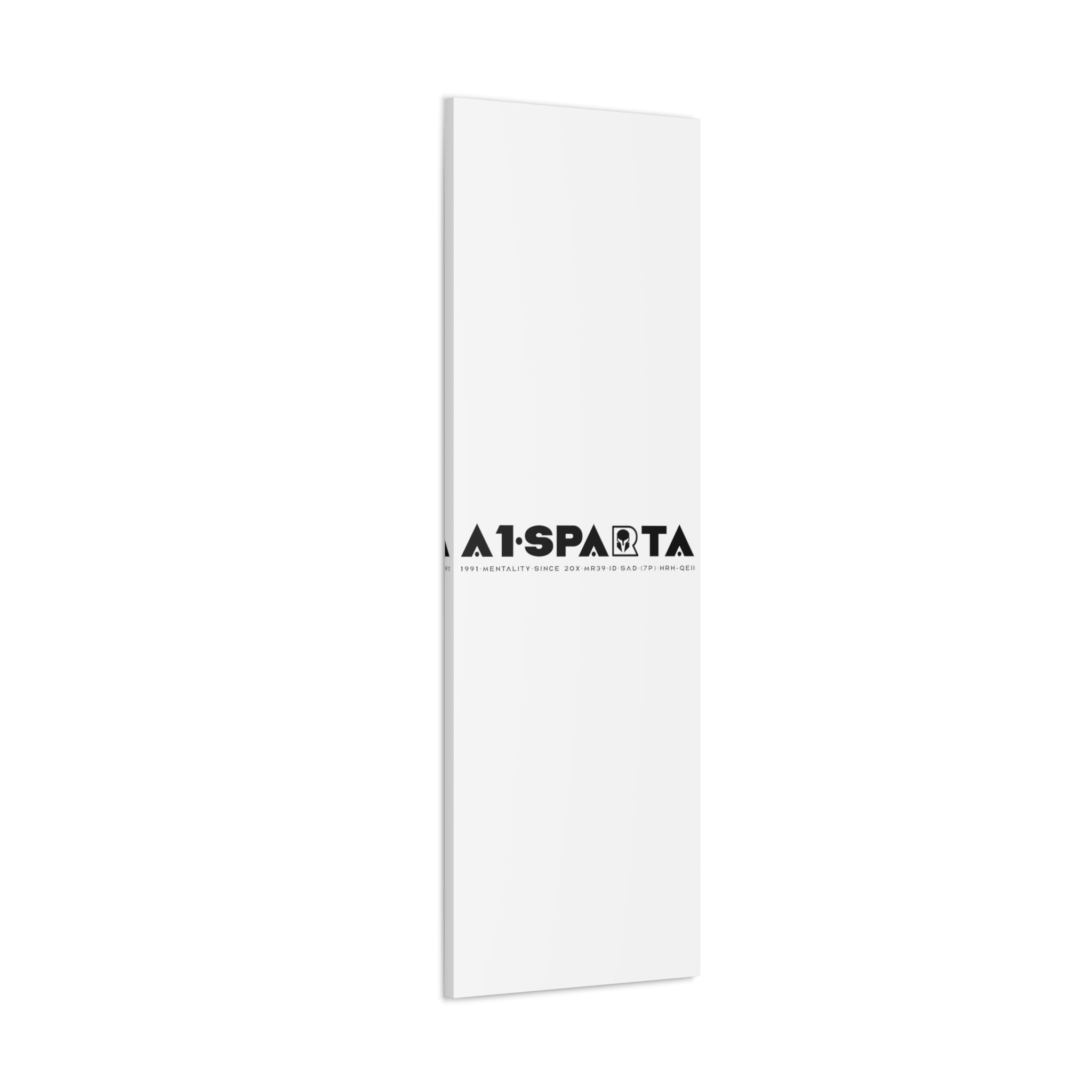 Canvas Gallery Wraps (A1•SPARTA RANGE)