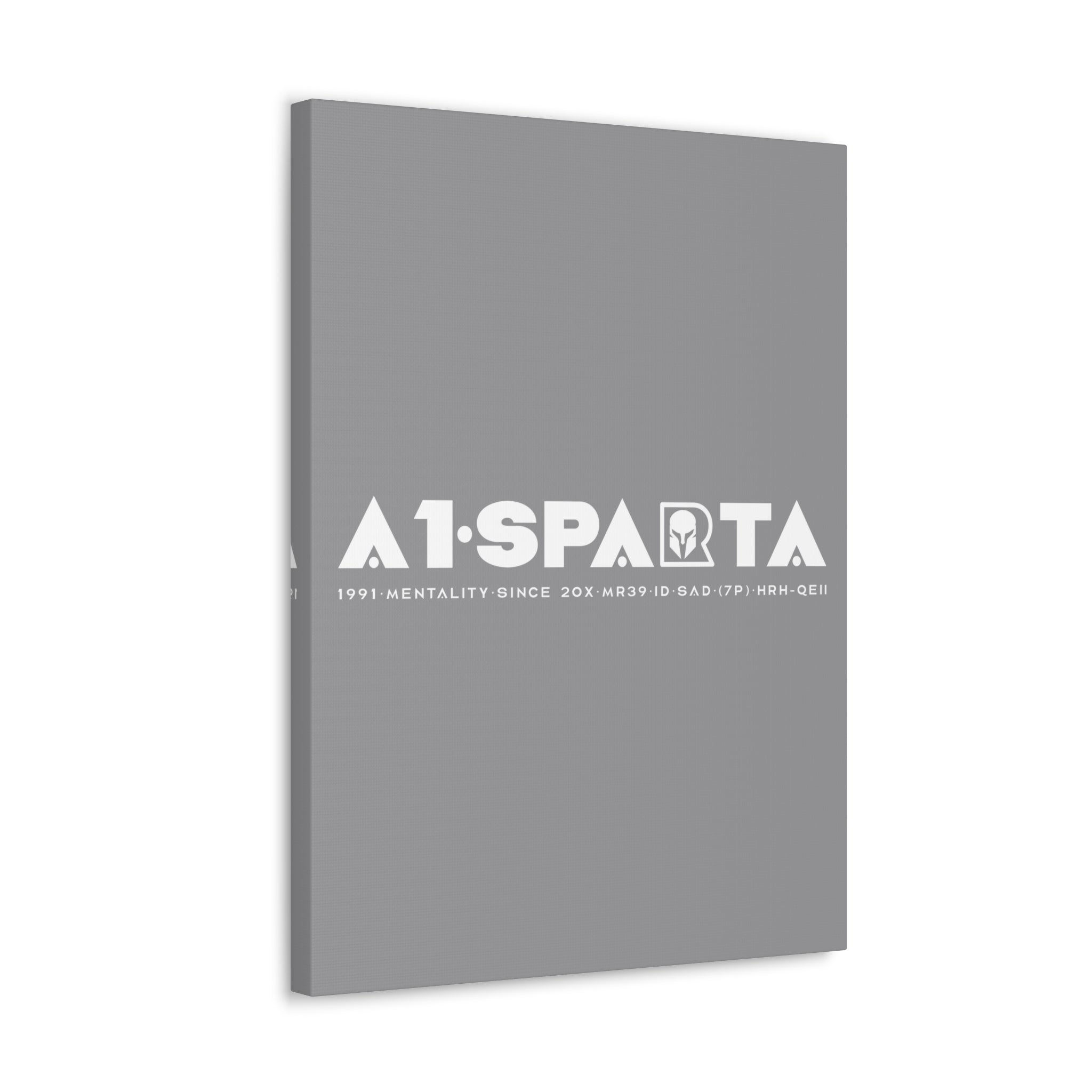 Canvas Gallery Wraps (A1•SPARTA RANGE)